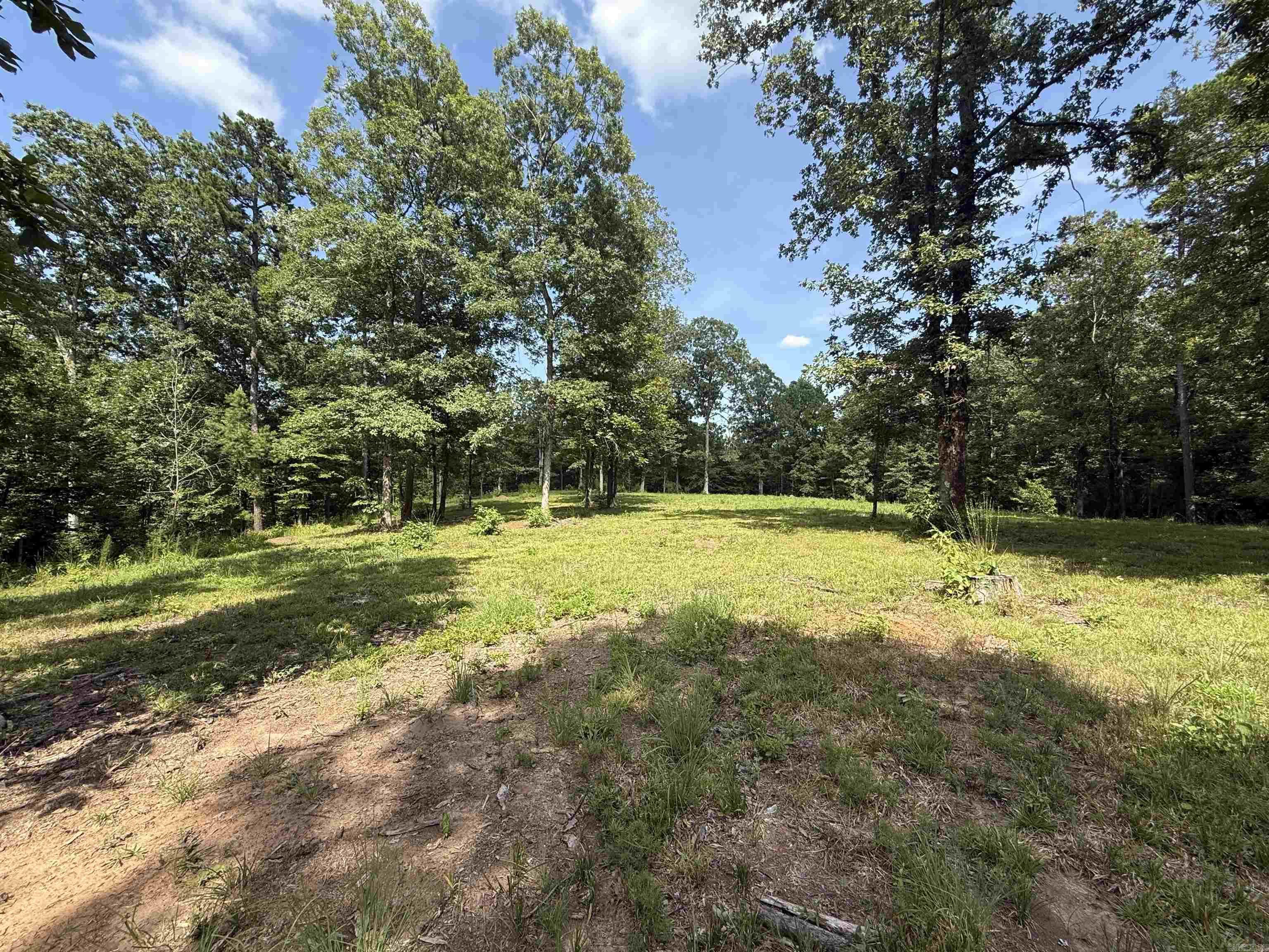 2696 Laticana Drive Property Photo 3