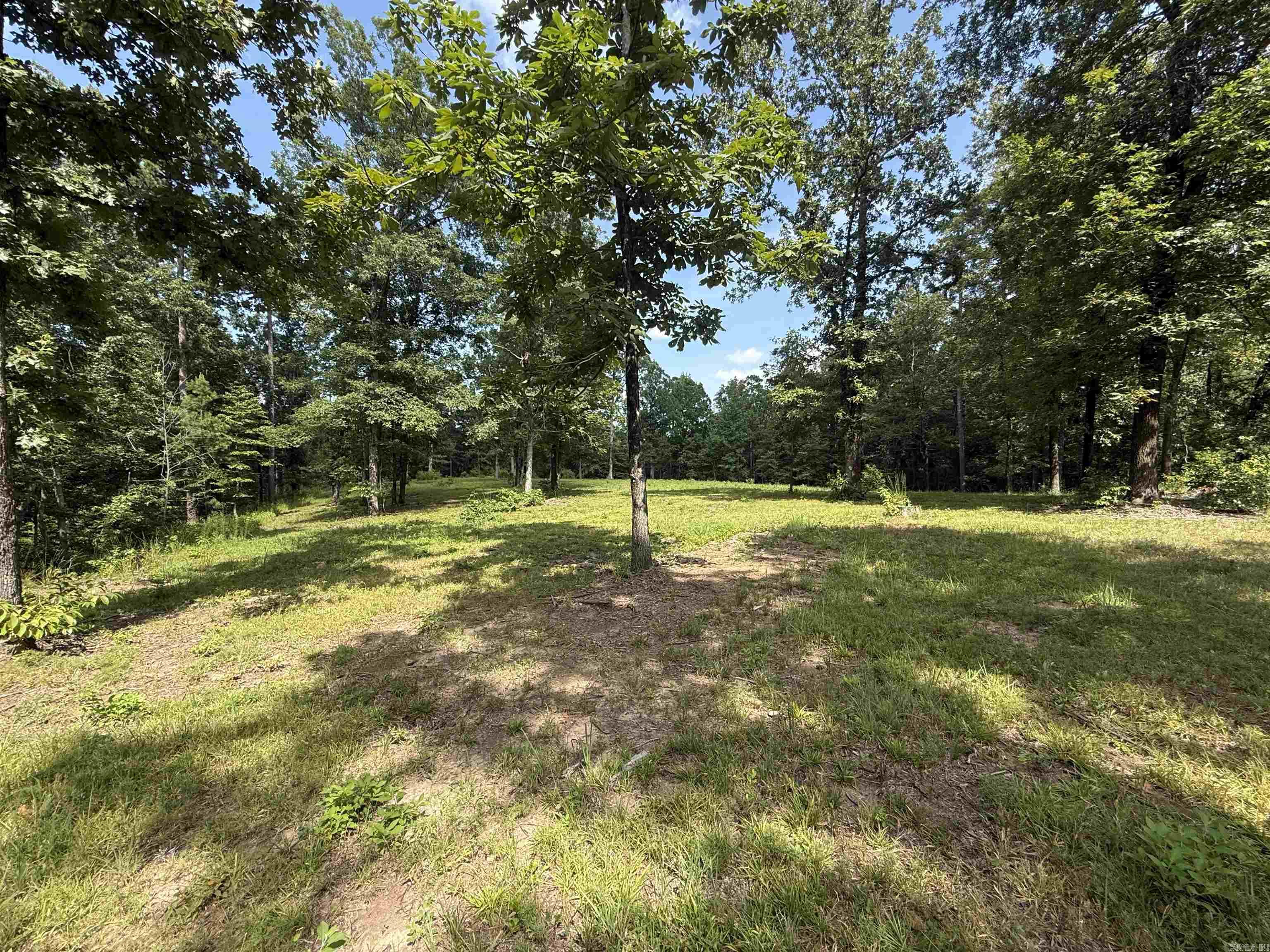 2696 Laticana Drive Property Photo 4