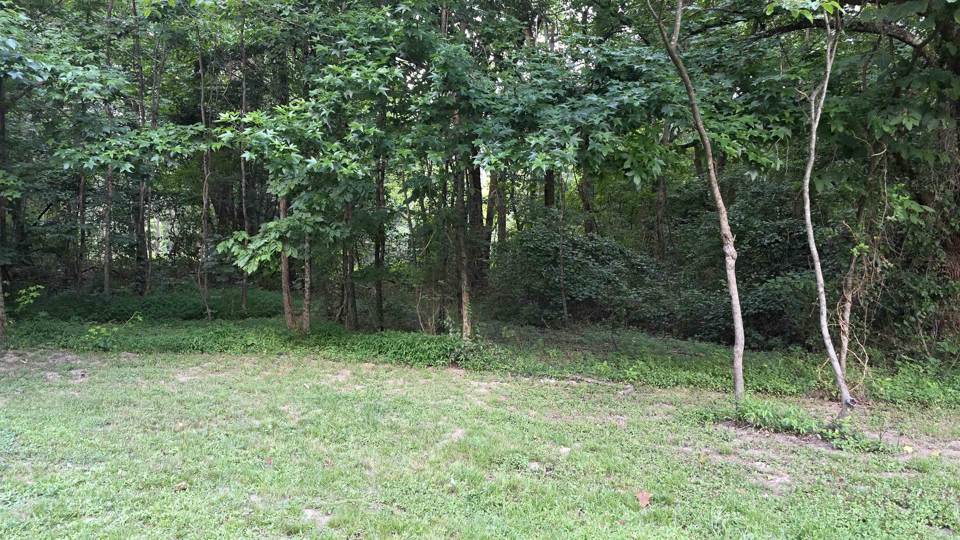 482 Greene 702 Rd Property Photo 33