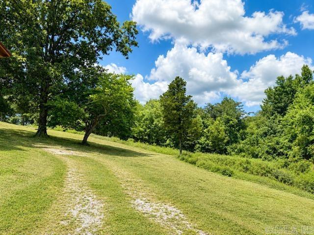 9047 Highway 7 Property Photo 13