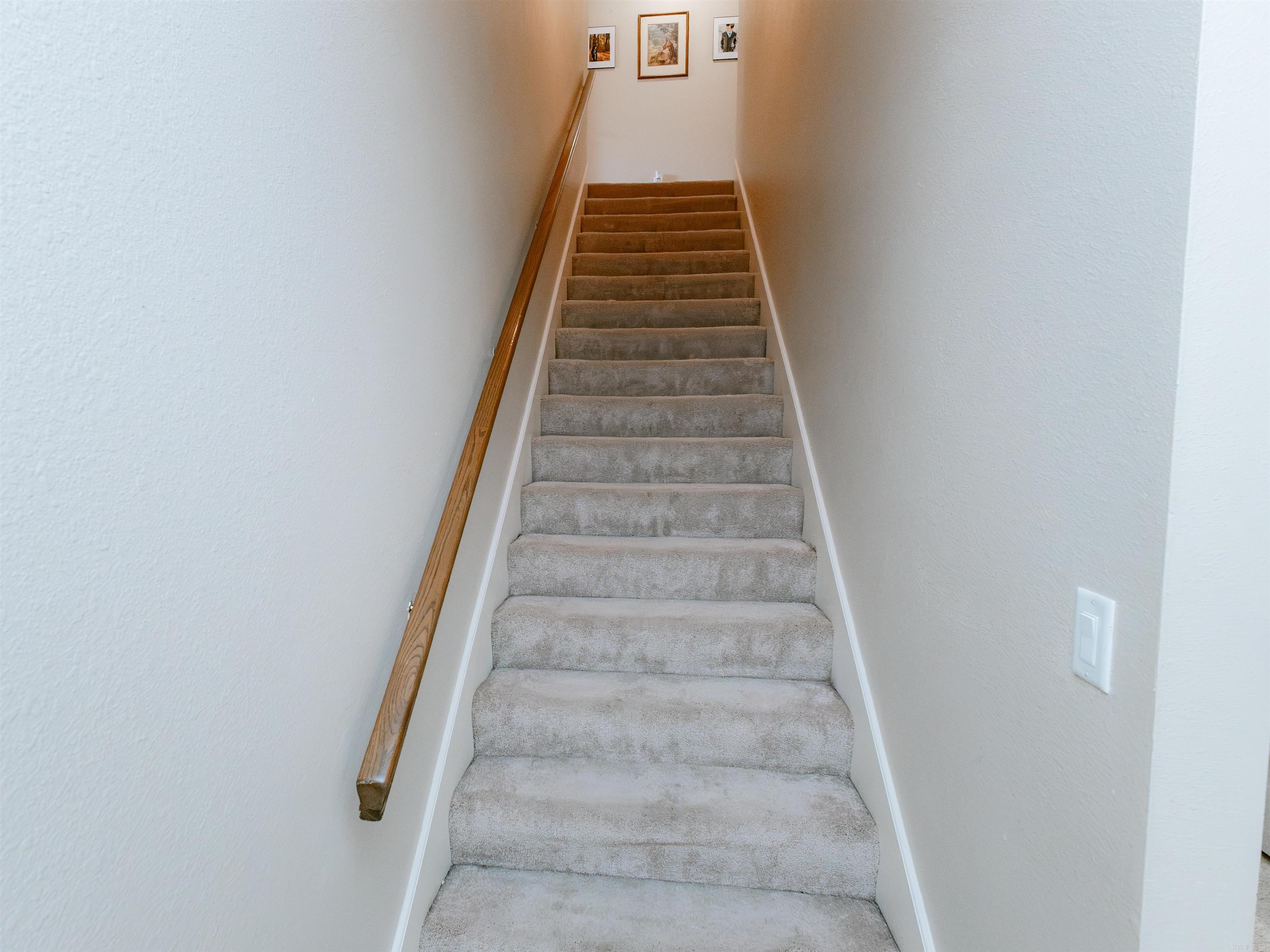 1808 Forrest Park Drive Property Photo 31