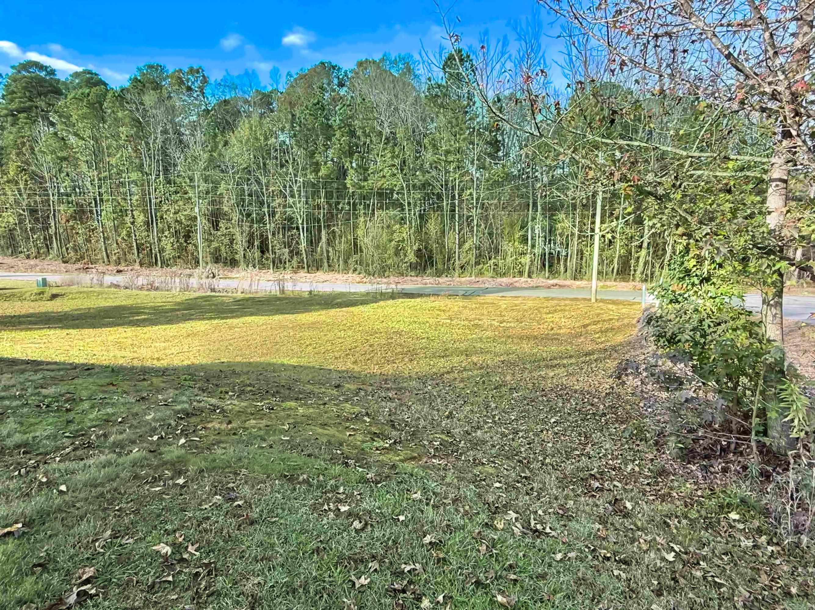 64 Horton Hills Drive Property Photo 29
