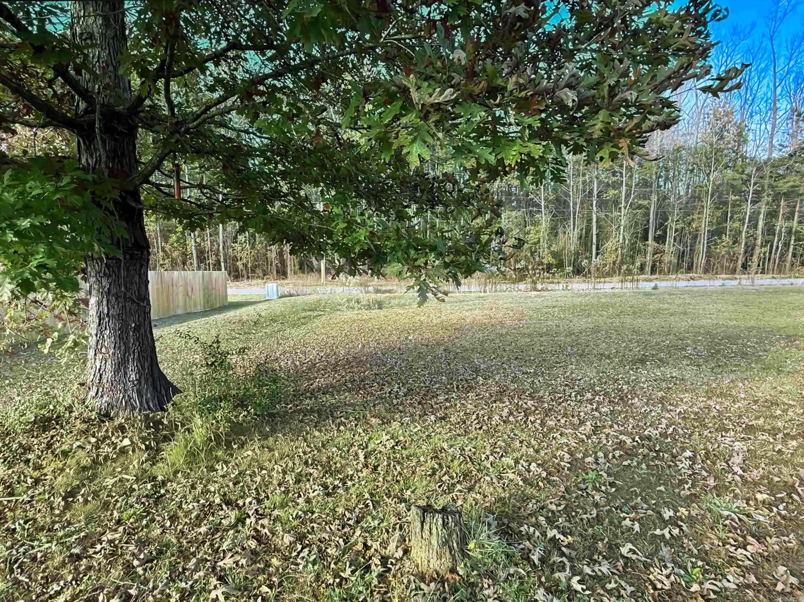 64 Horton Hills Drive Property Photo 30