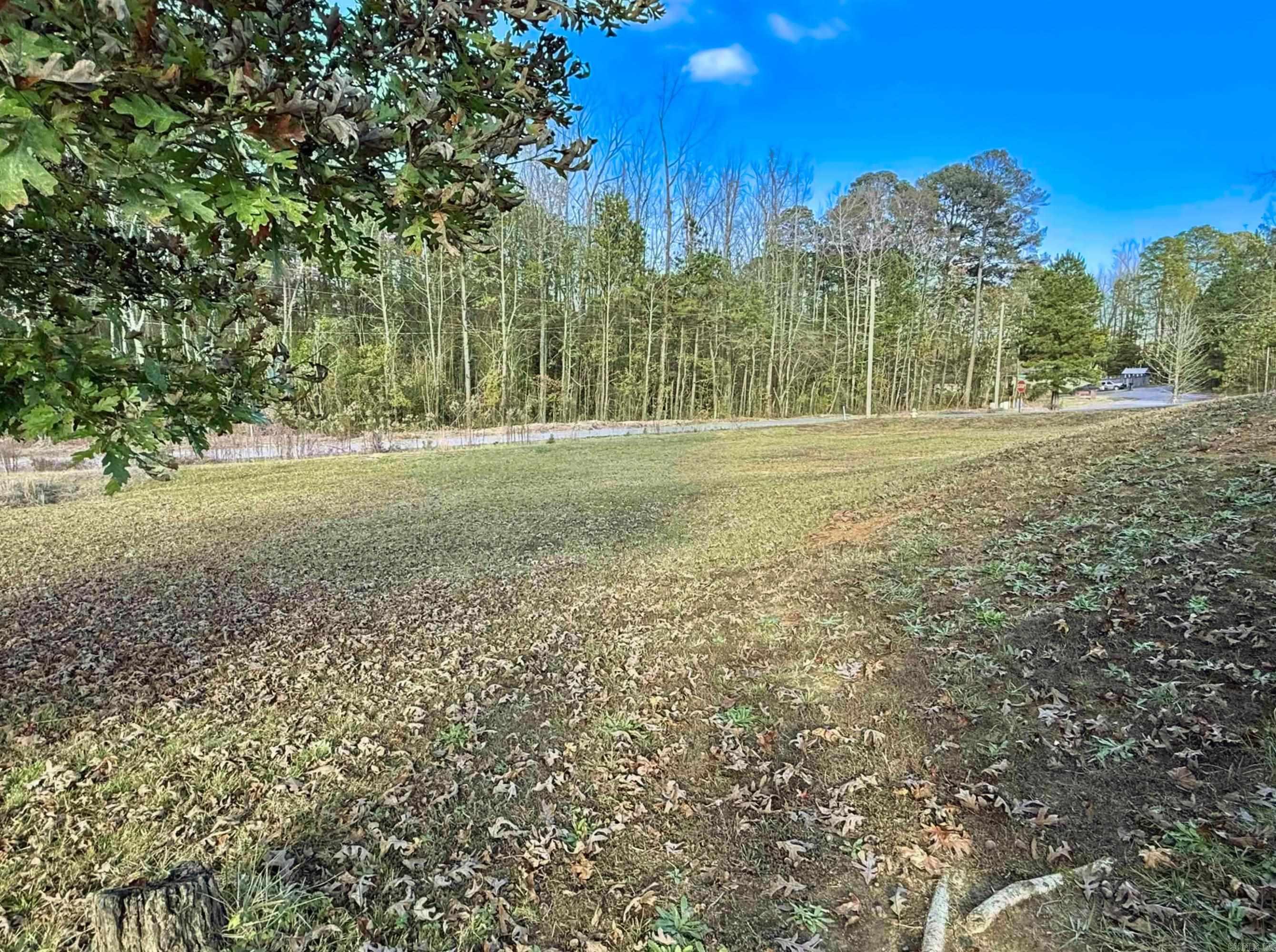 64 Horton Hills Drive Property Photo 31