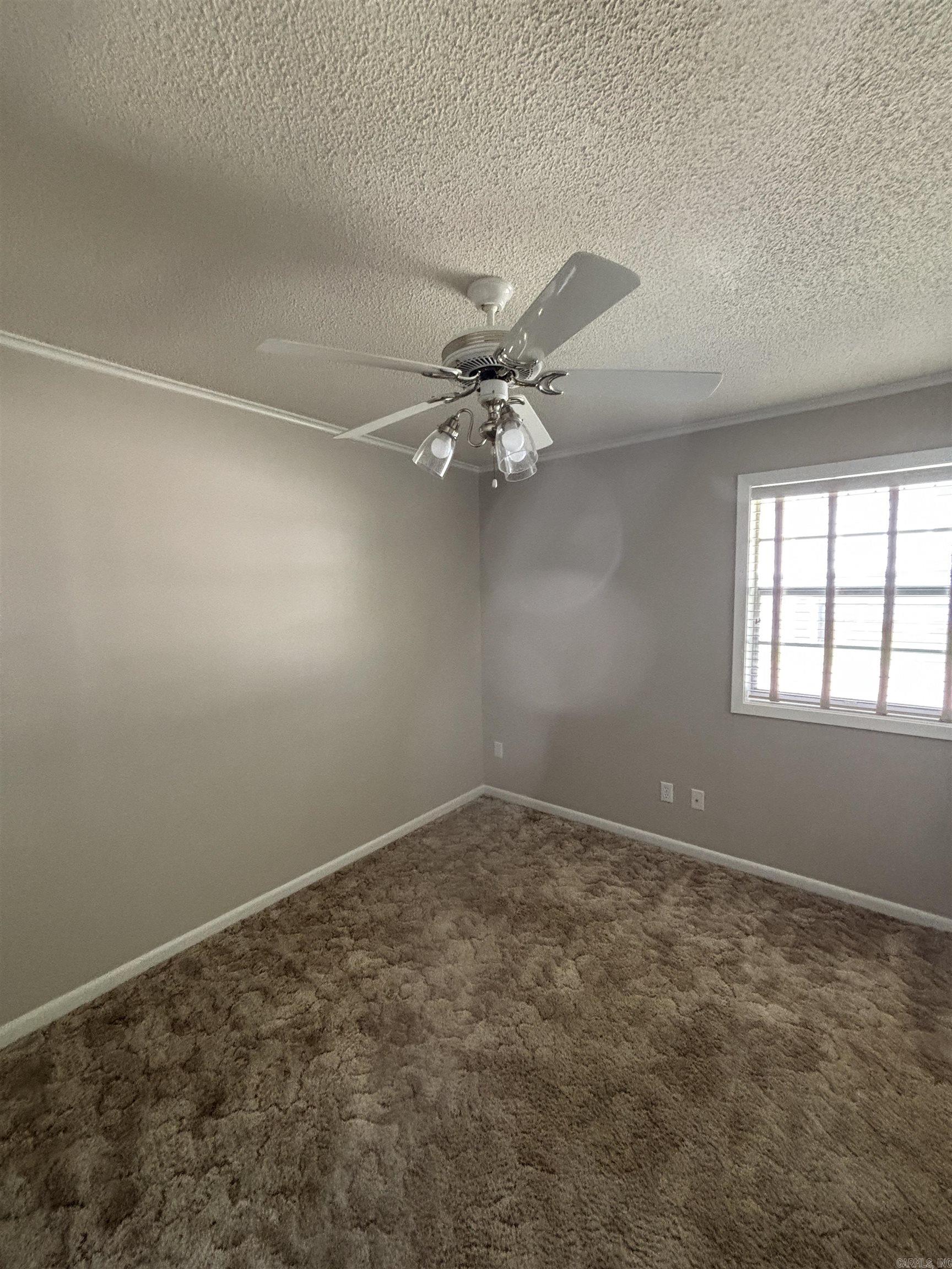 100 Wheeler St Property Photo 13
