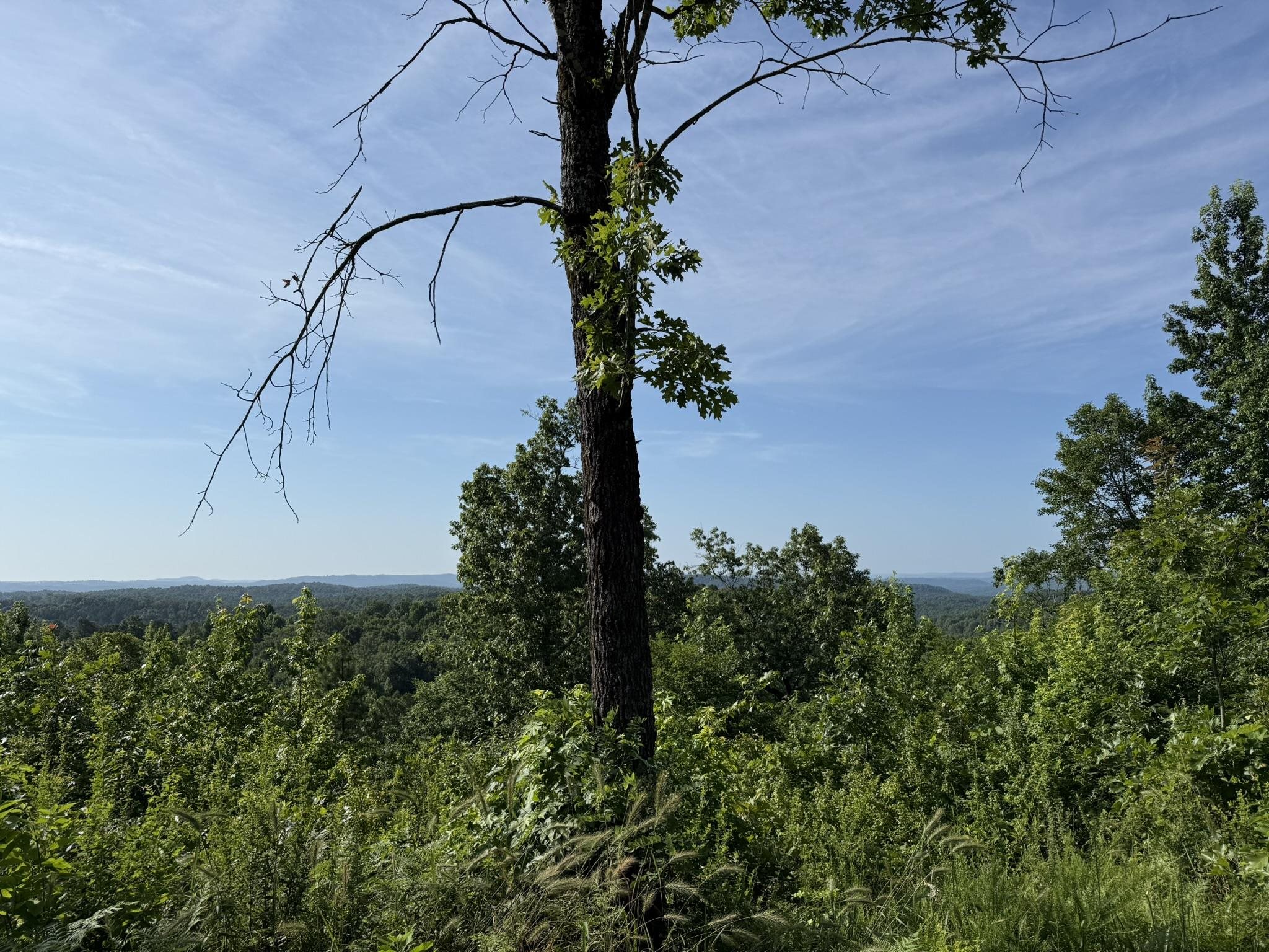 2441 S Ar Hwy 9 Property Photo 4