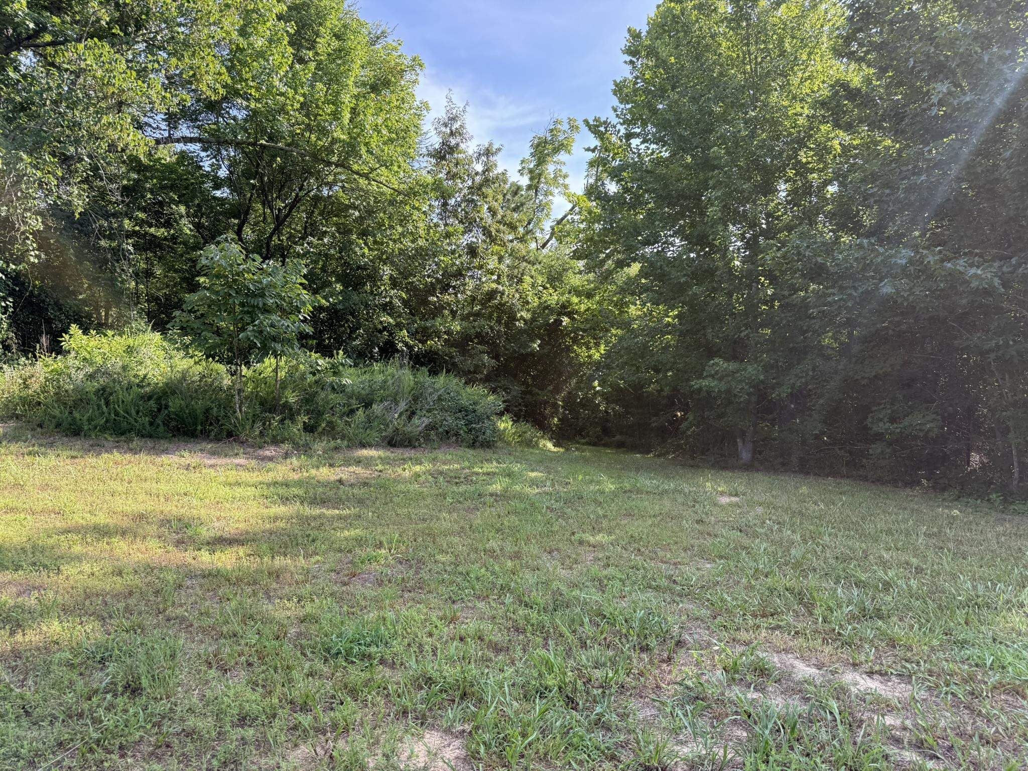 2441 S Ar Hwy 9 Property Photo 6
