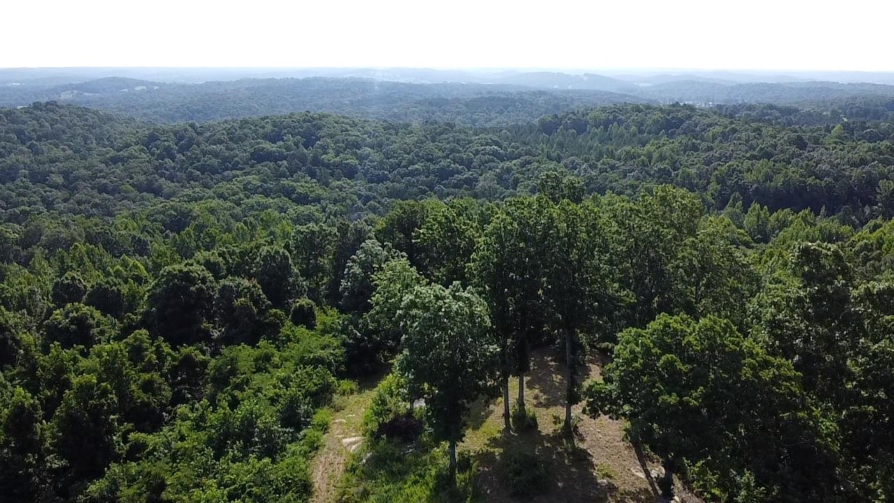 2441 S Ar Hwy 9 Property Photo 8