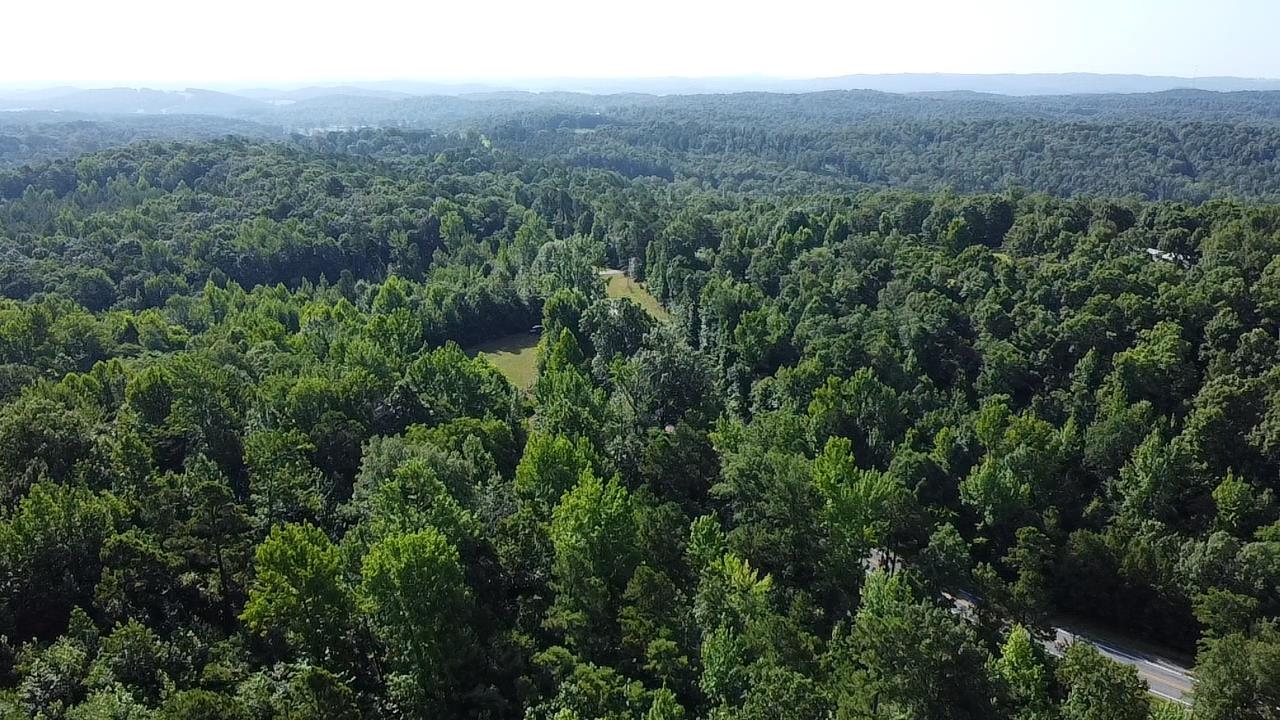 2441 S Ar Hwy 9 Property Photo 12