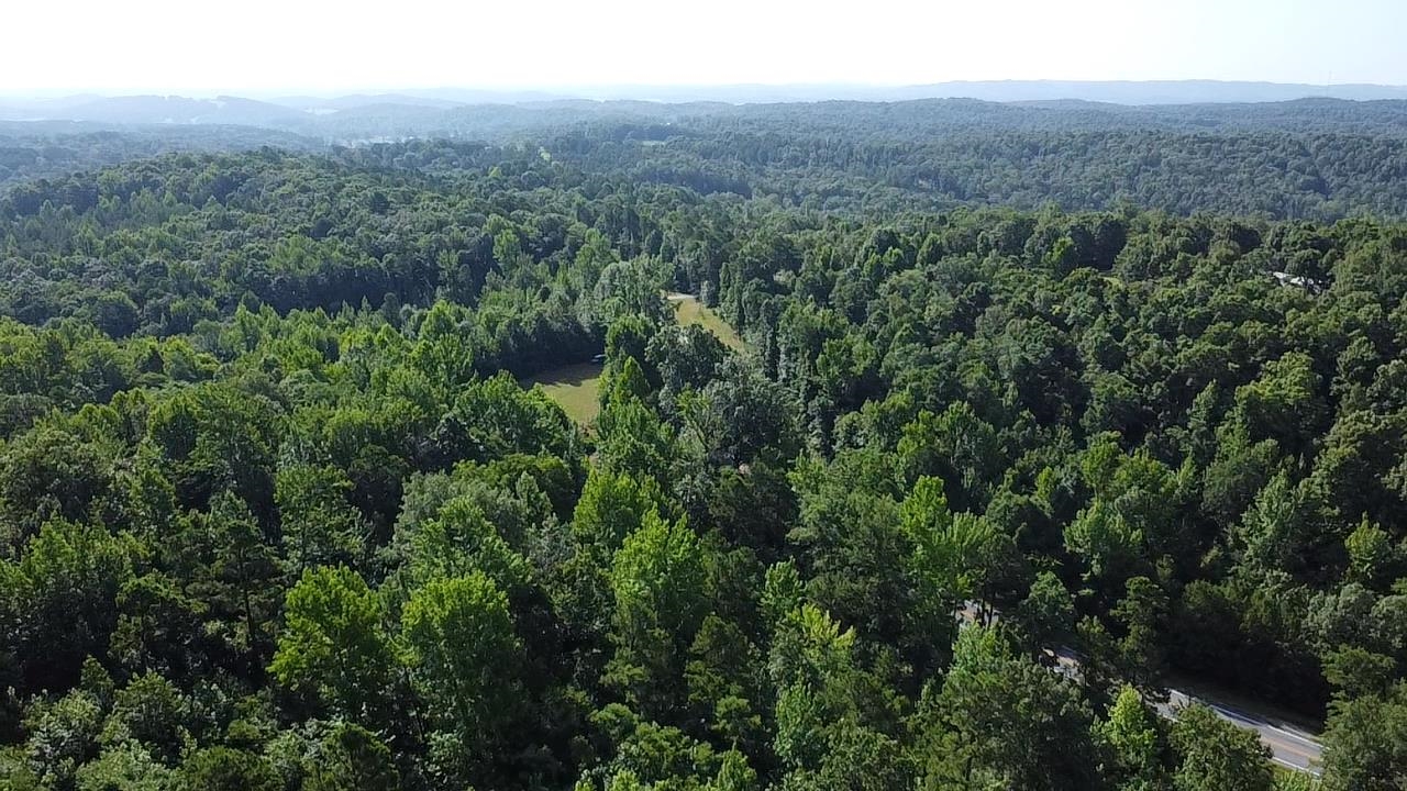 2441 S Ar Hwy 9 Property Photo 13