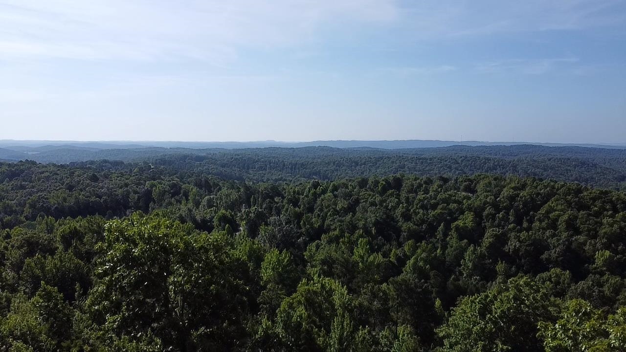 2441 S Ar Hwy 9 Property Photo 14