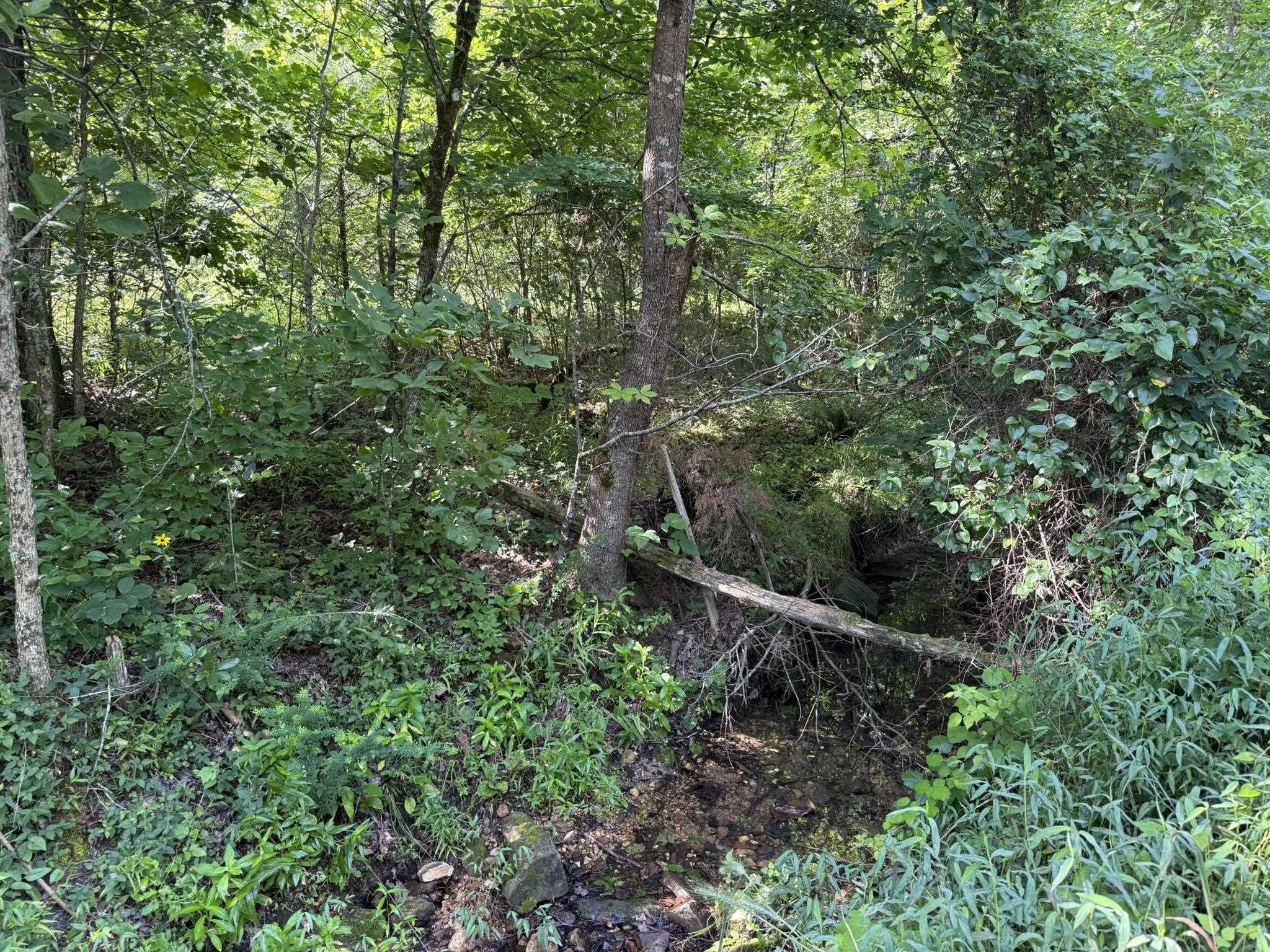 2441 S Ar Hwy 9 Property Photo 15