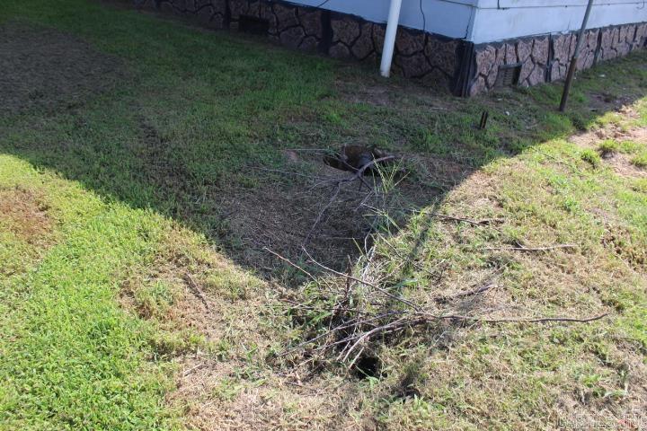 351 Moody Road Property Photo 10