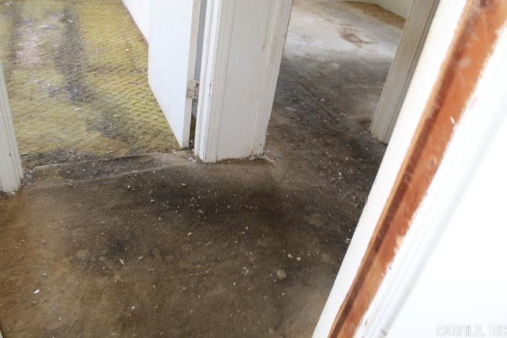 351 Moody Road Property Photo 22