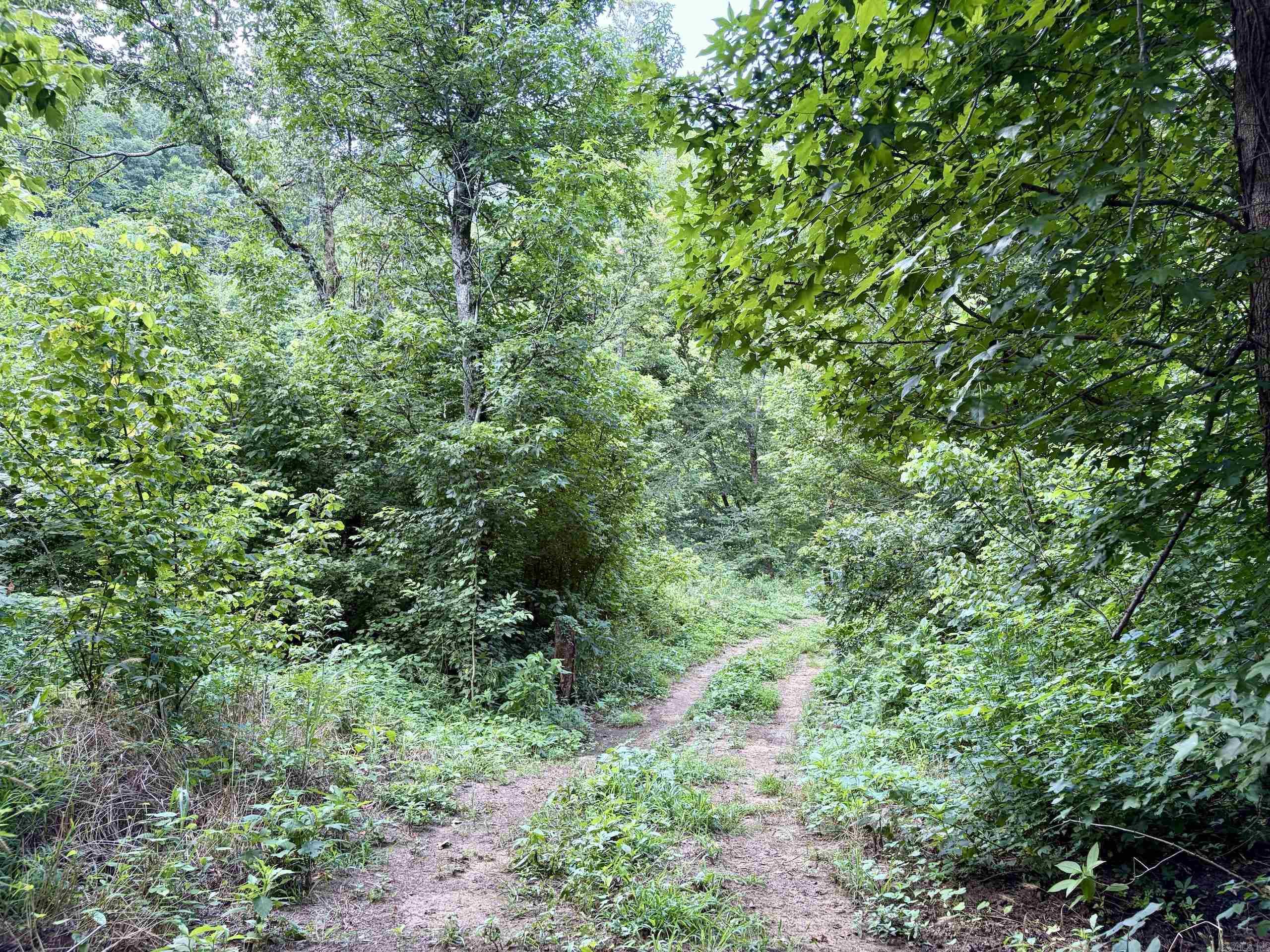 000 Cr 5881 Property Photo 22