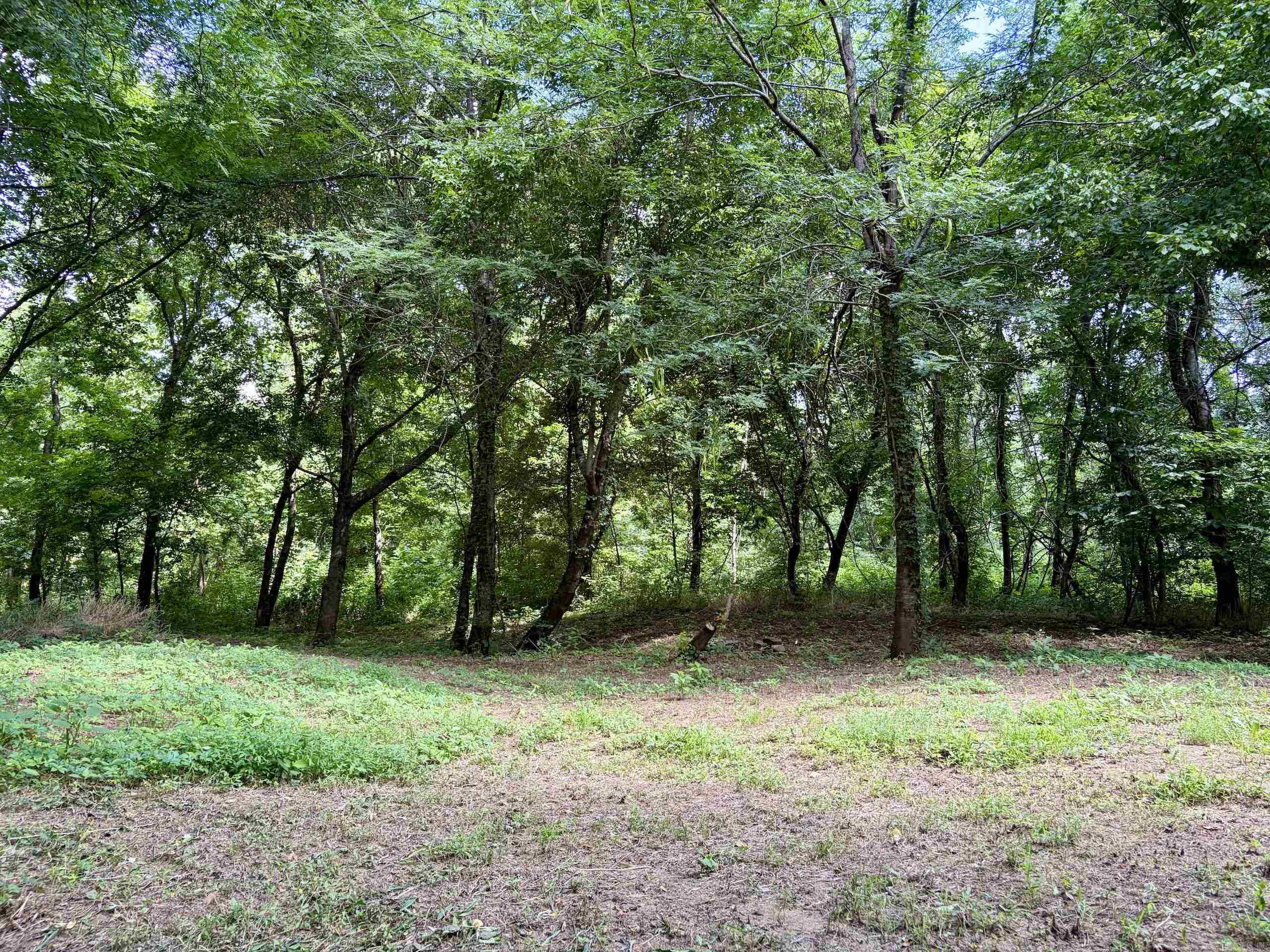 000 Cr 5881 Property Photo 30
