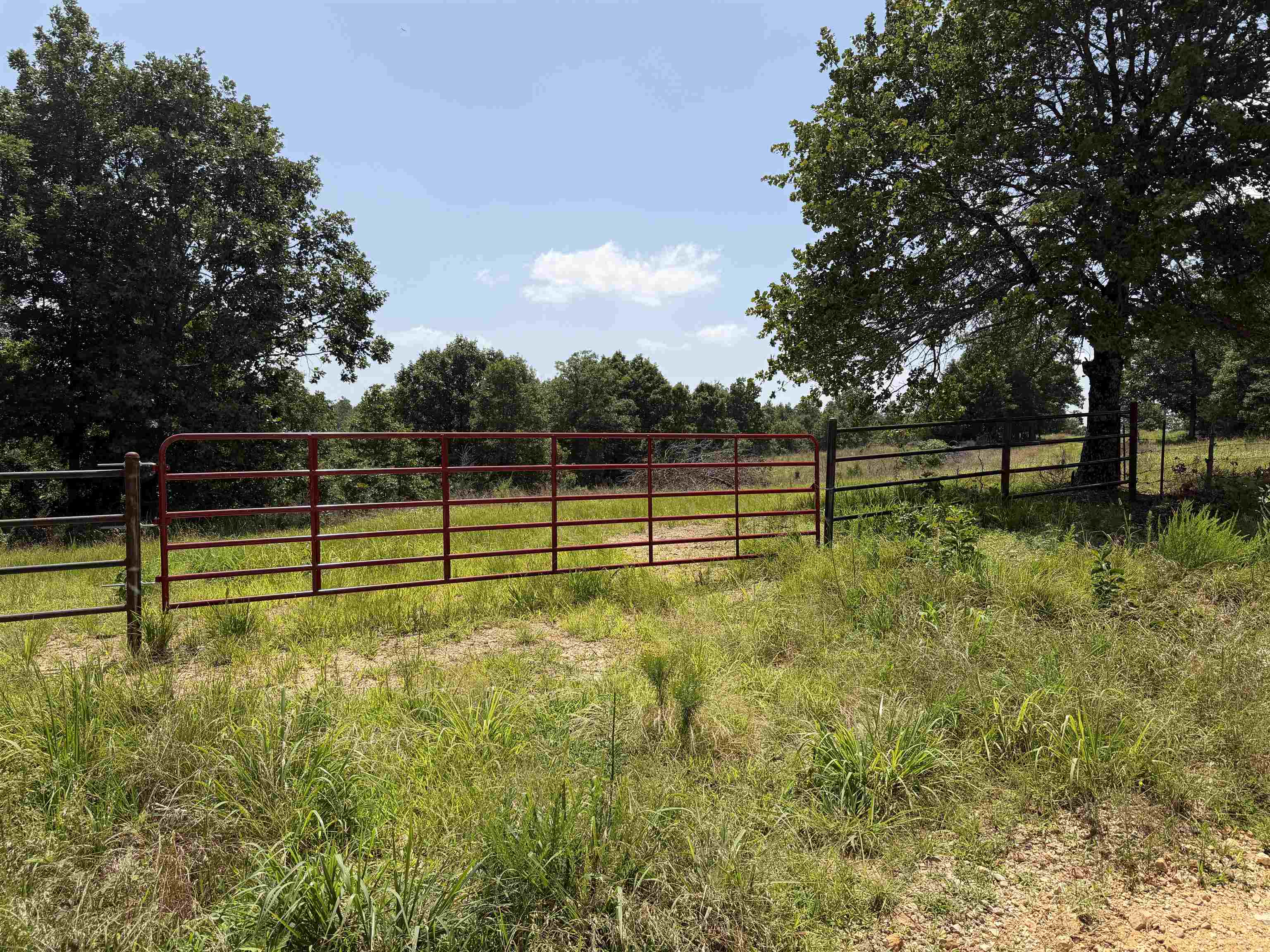 100 Republican Road Property Photo 4