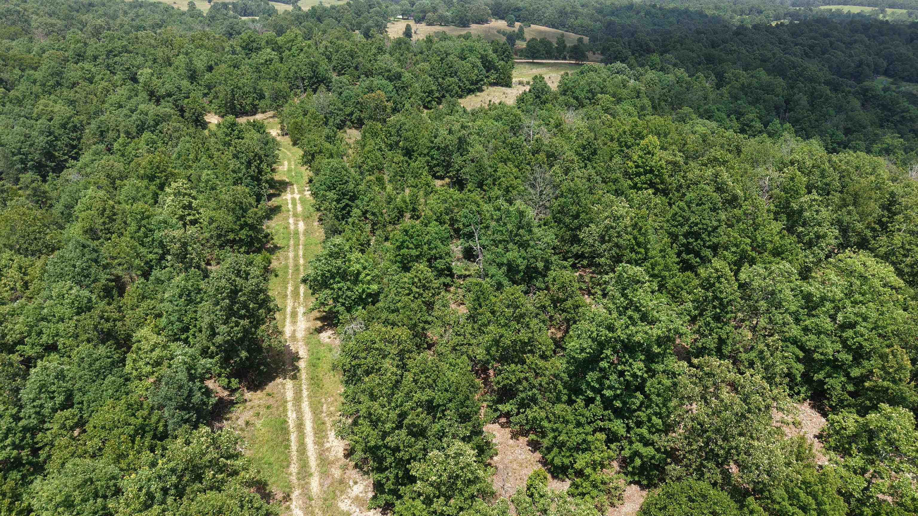 100 Republican Road Property Photo 14