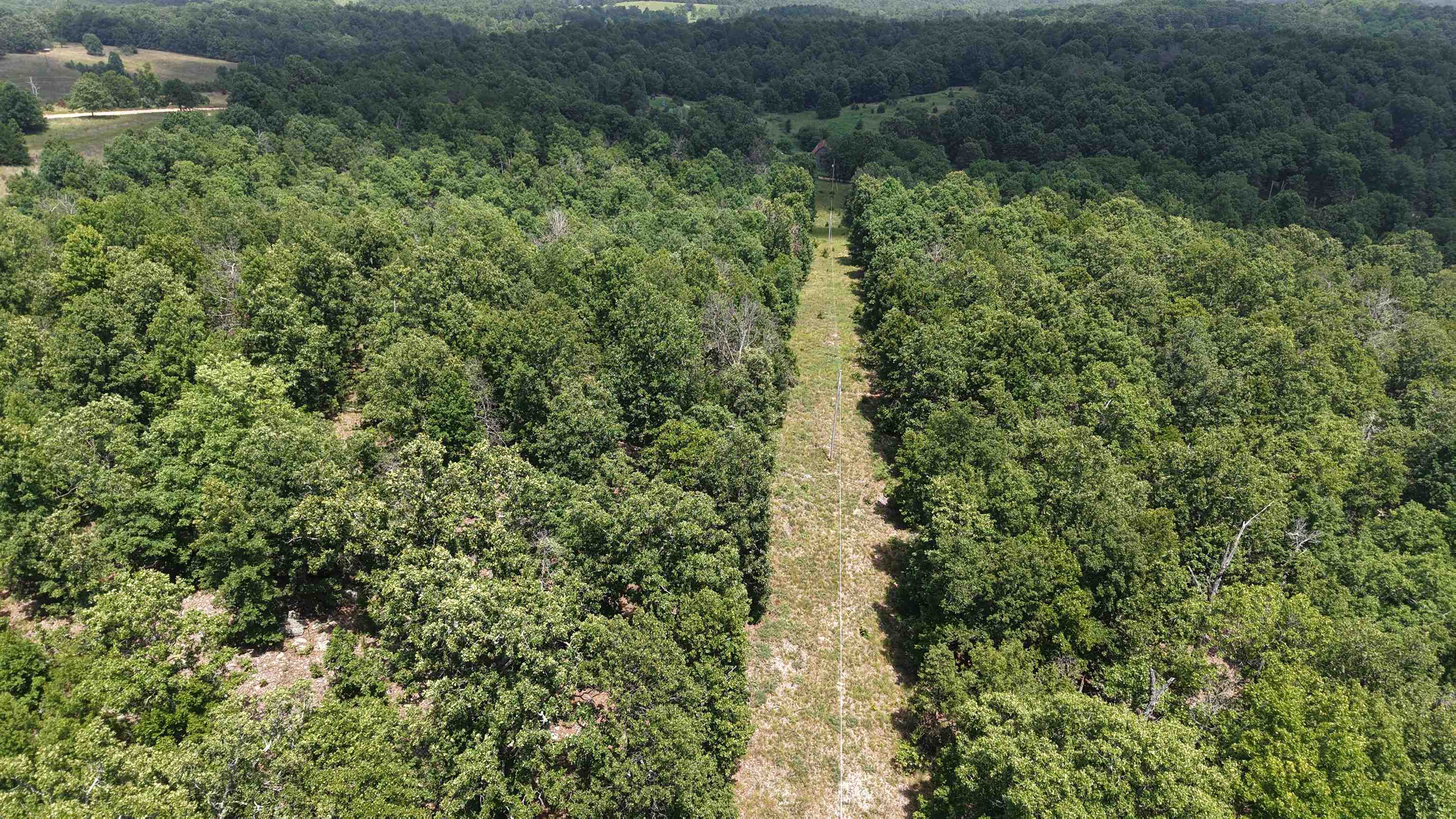 100 Republican Road Property Photo 15