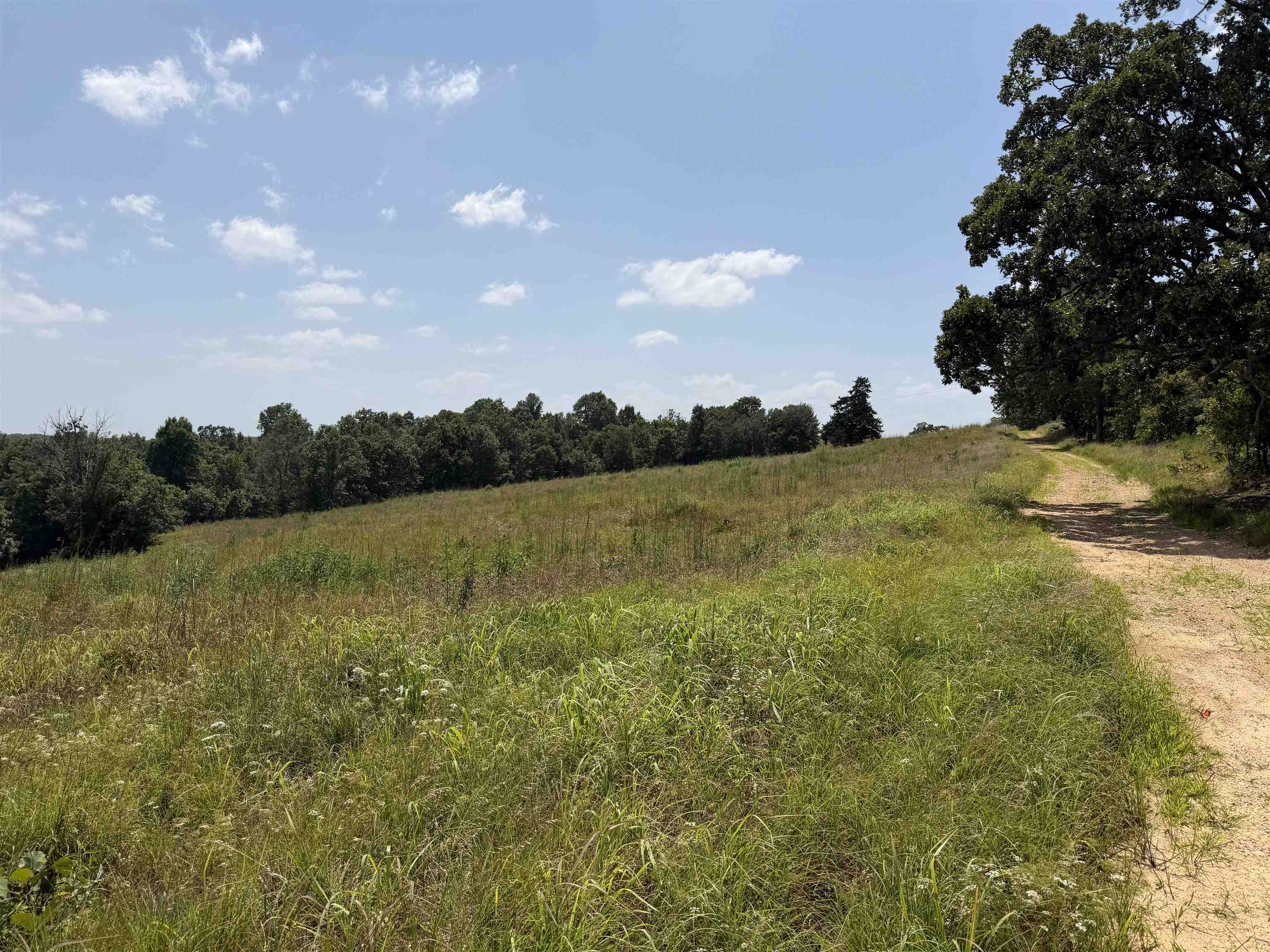 100 Republican Road Property Photo 19