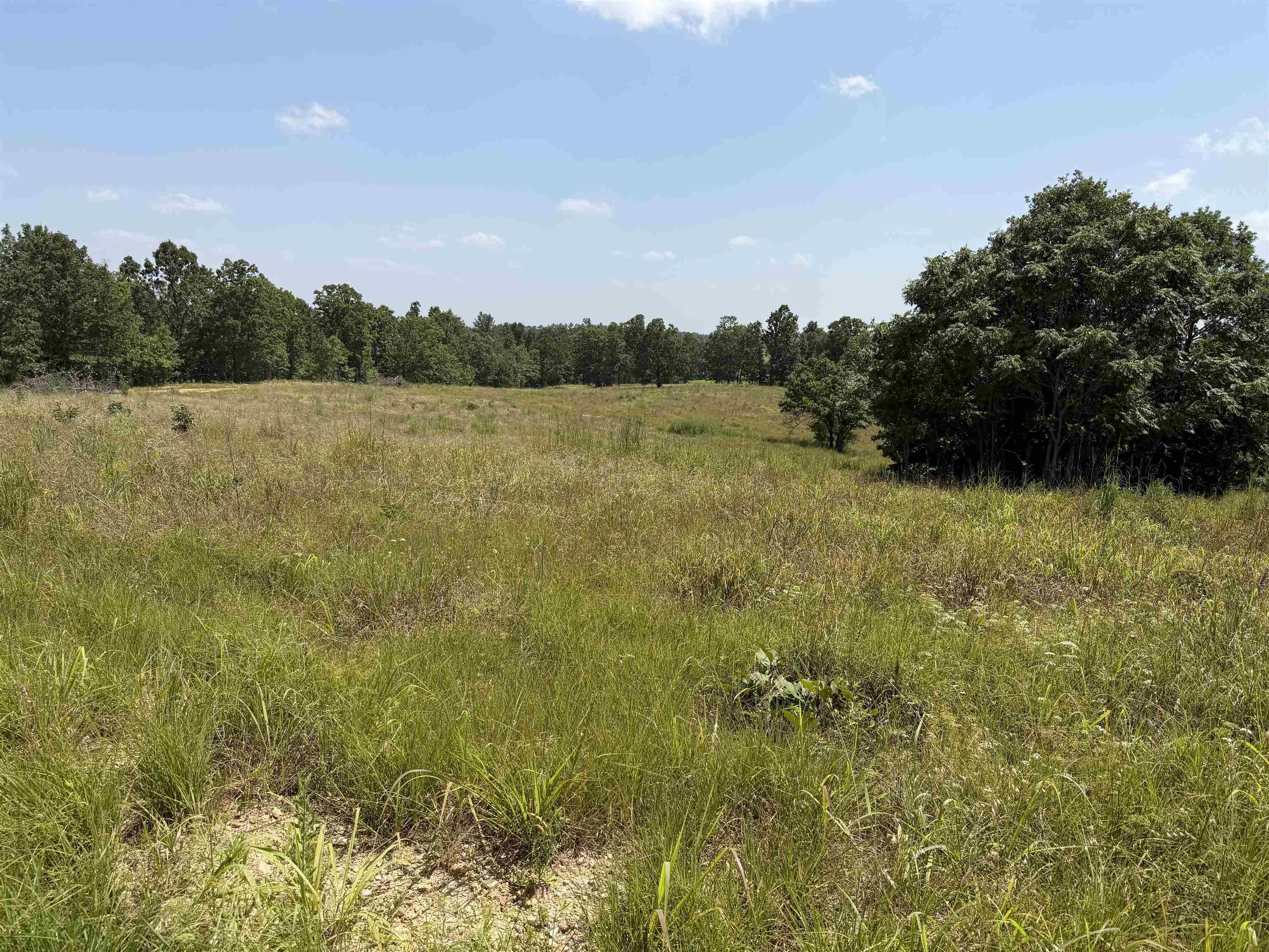 100 Republican Road Property Photo 20
