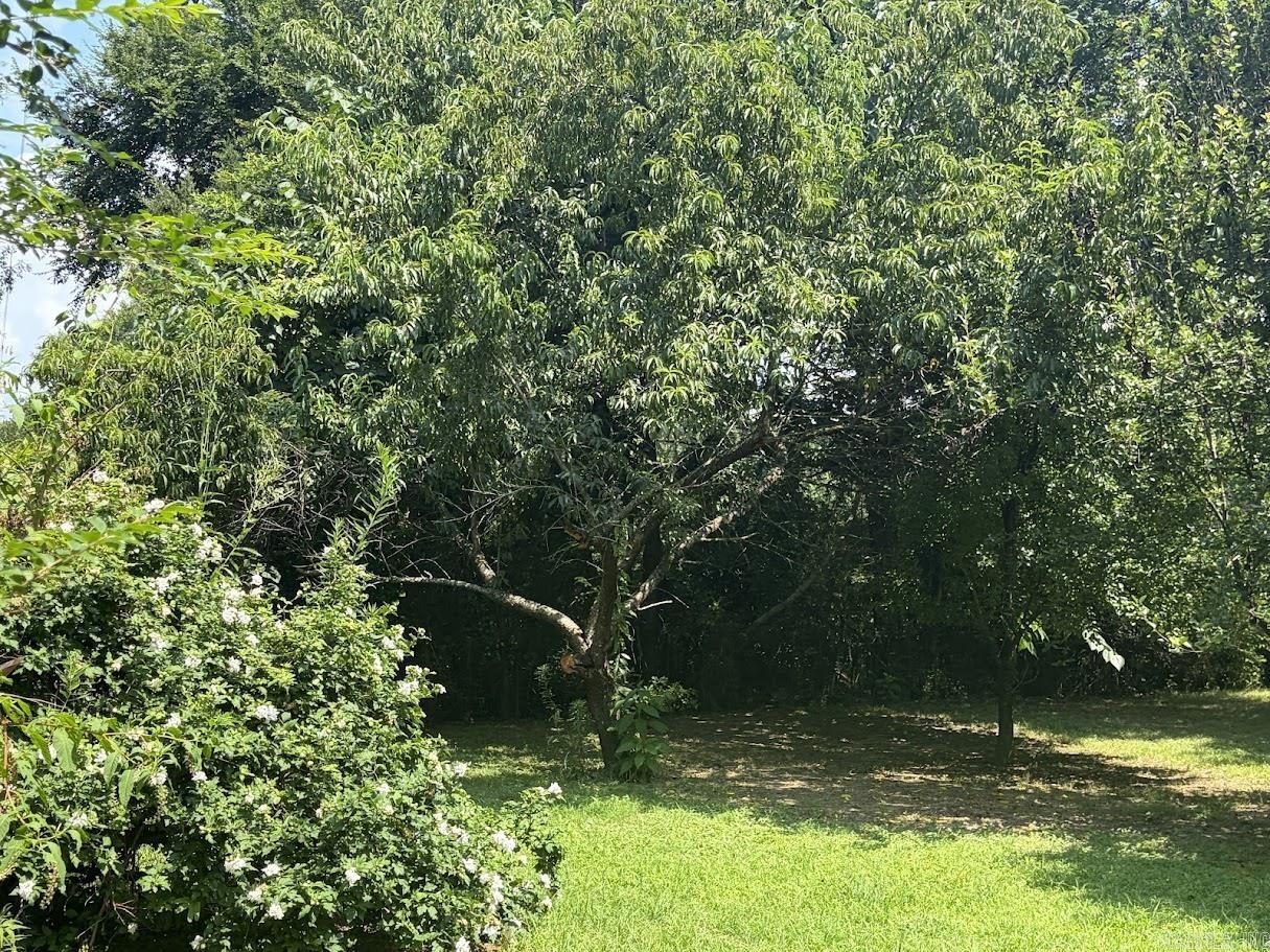 220 Polk Road 18 Property Photo 24