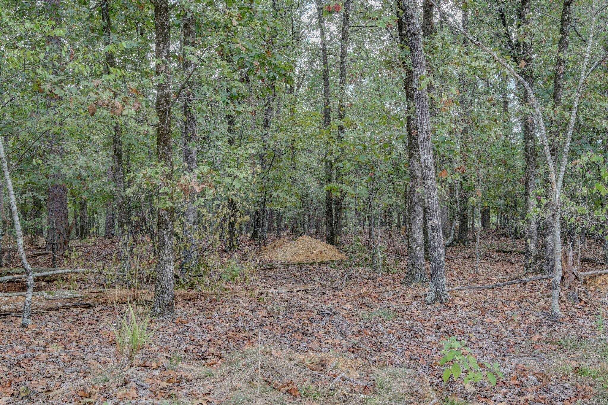 1.55 Acres Windsong Hill Road Property Photo 12
