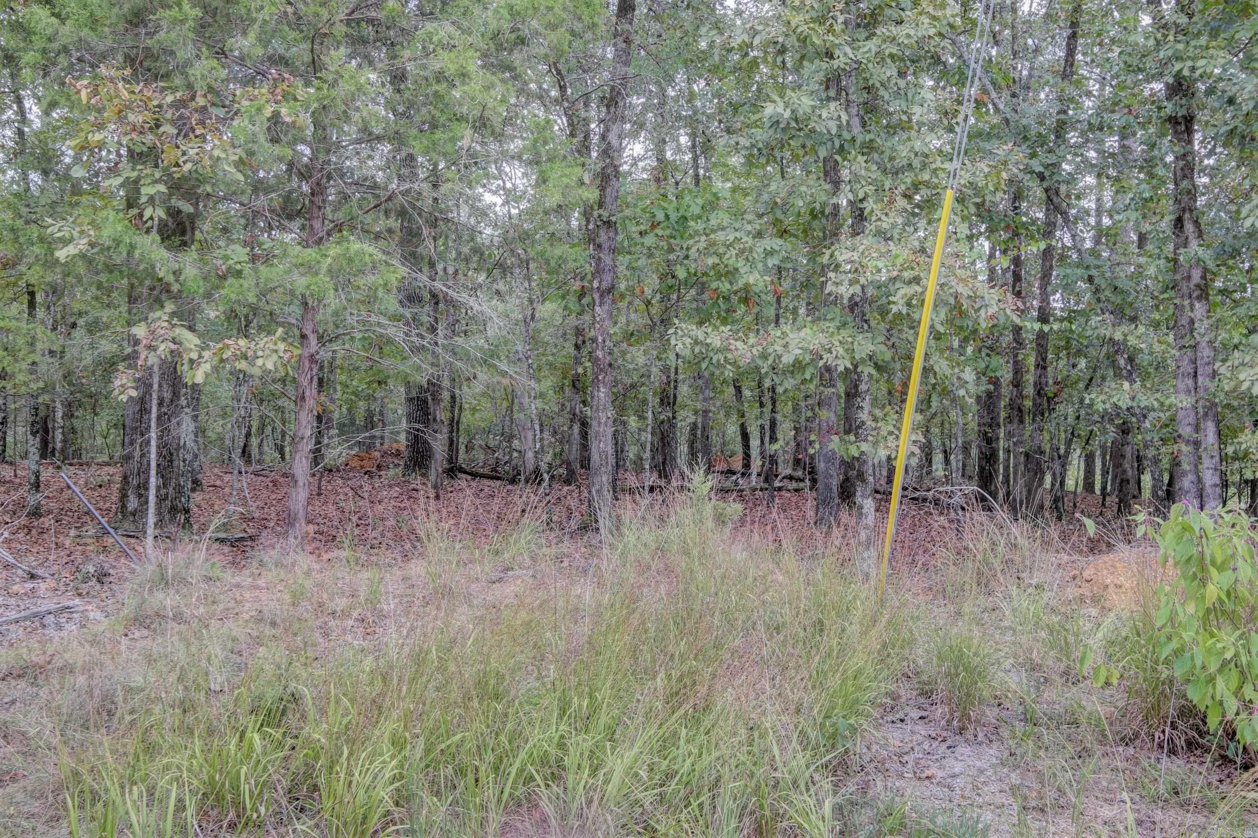 1.55 Acres Windsong Hill Road Property Photo 14