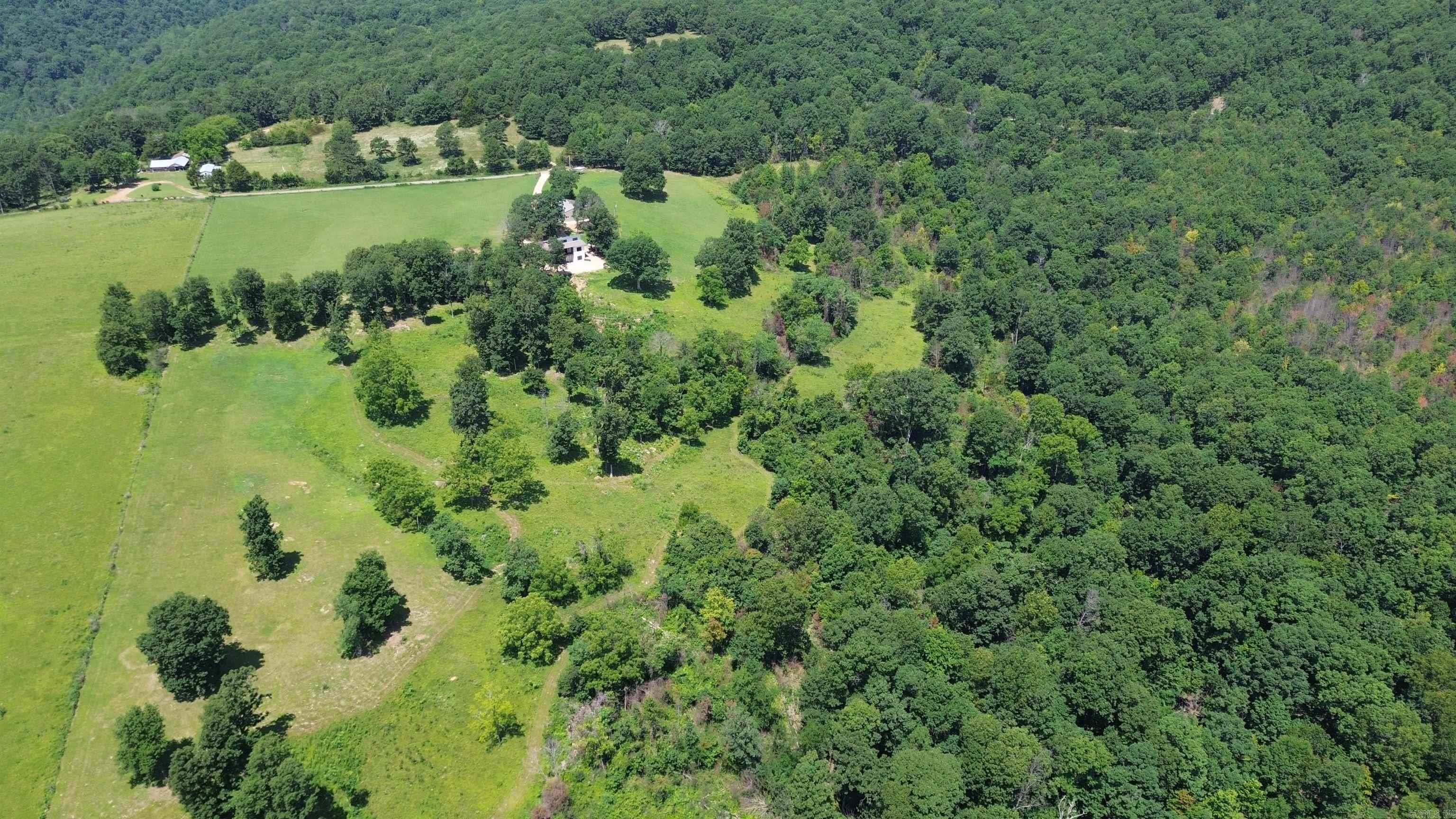 918 Bowith Hollow Property Photo 6