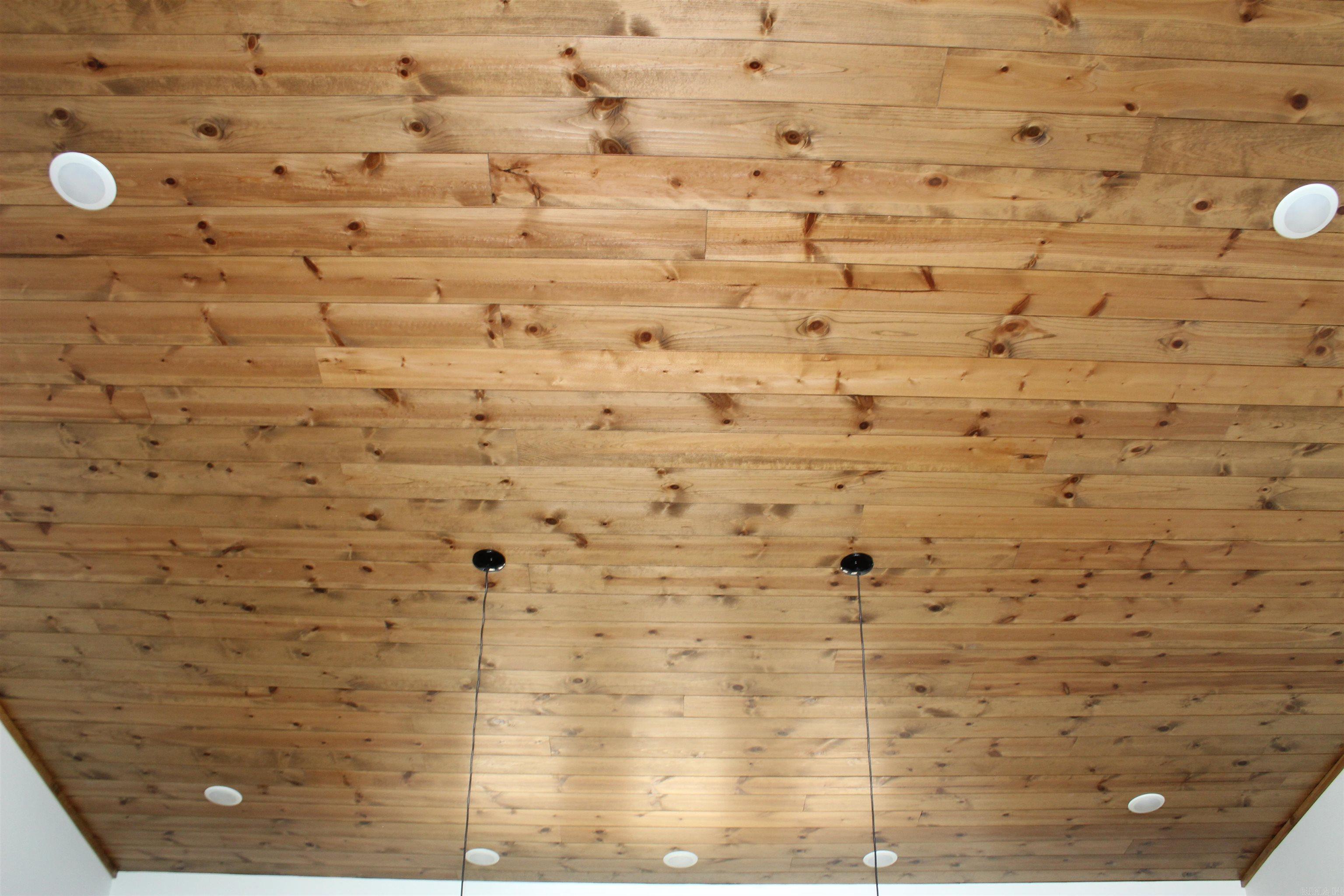 918 Bowith Hollow Property Photo 14