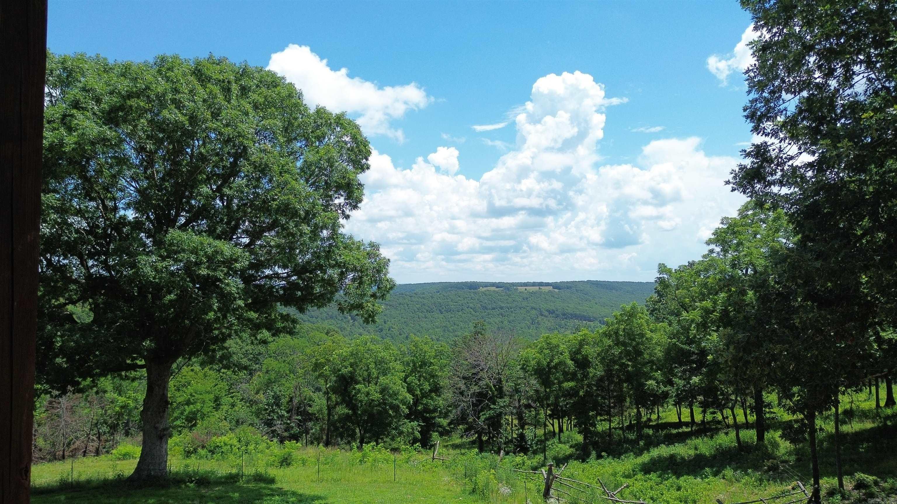 918 Bowith Hollow Property Photo 34