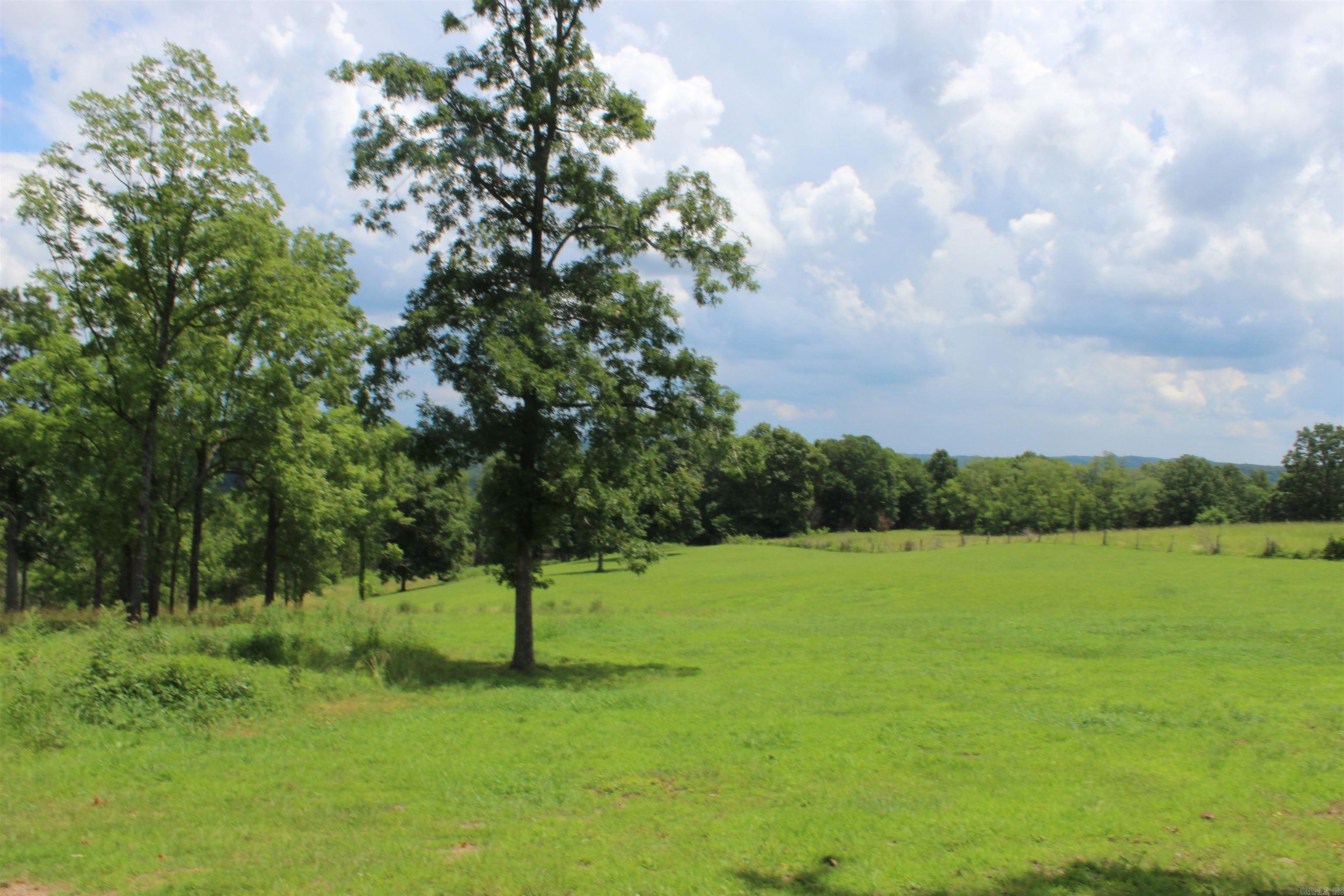 918 Bowith Hollow Property Photo 46