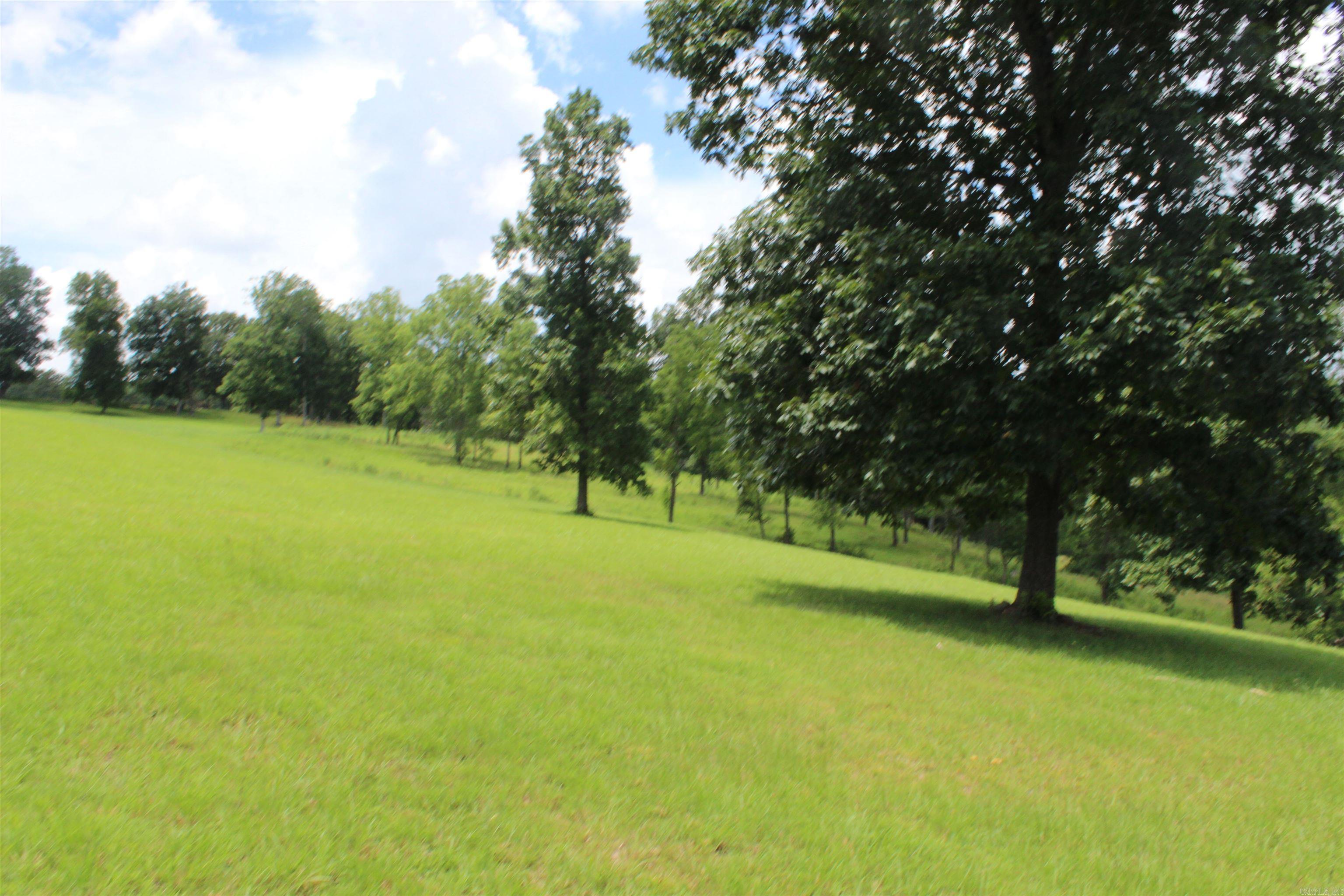 918 Bowith Hollow Property Photo 48