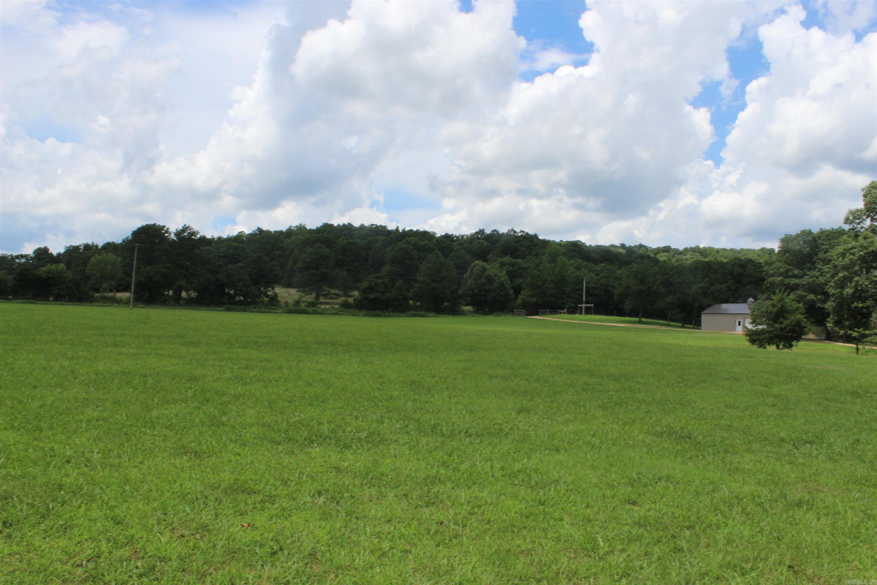 918 Bowith Hollow Property Photo 49