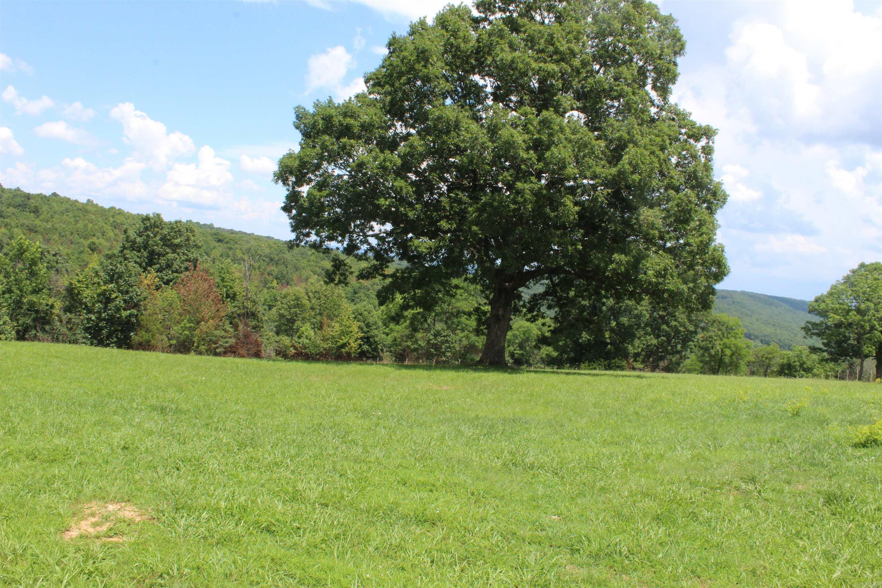 918 Bowith Hollow Property Photo 50