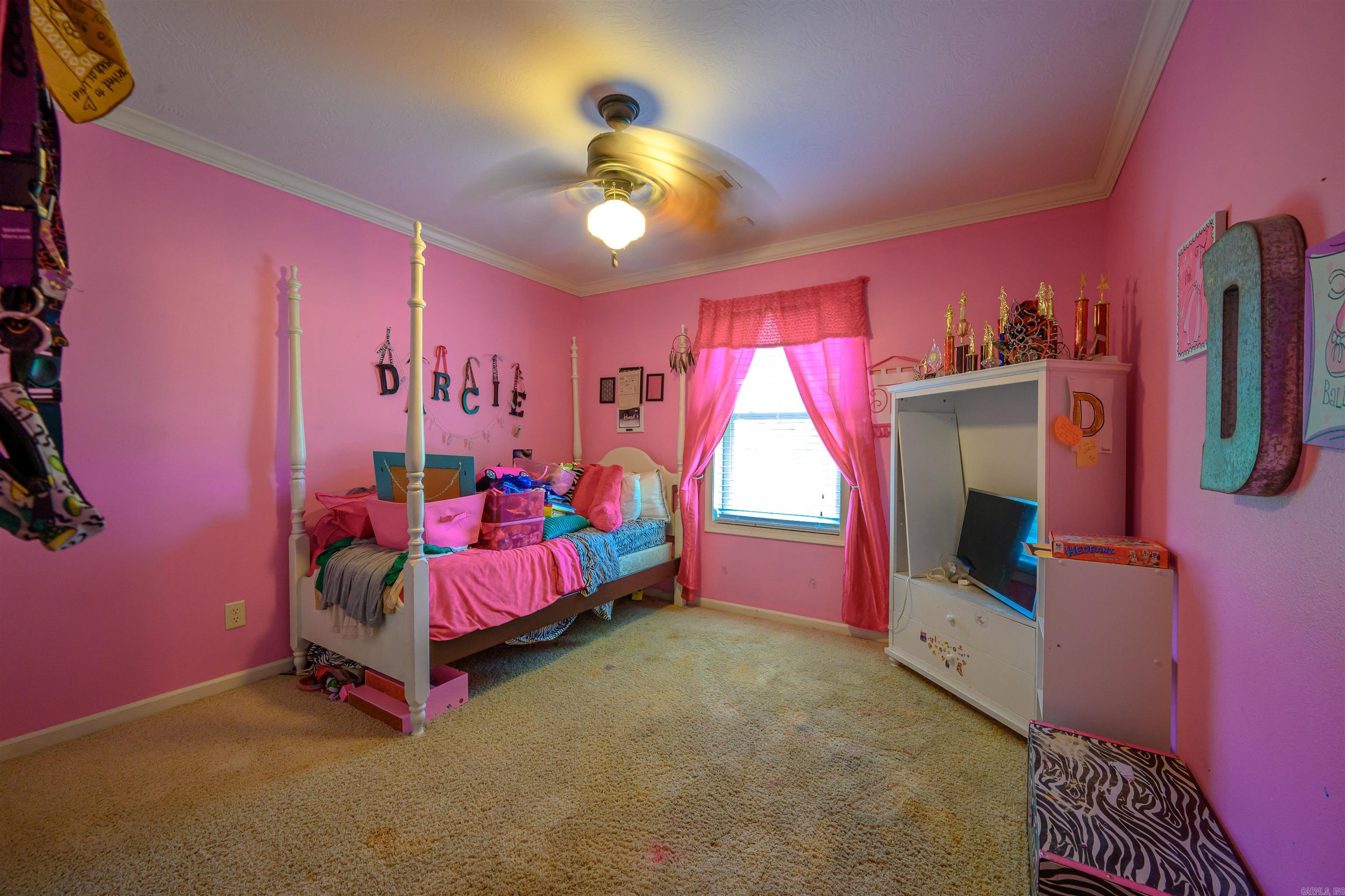 5 Jacob Lane Property Photo 22