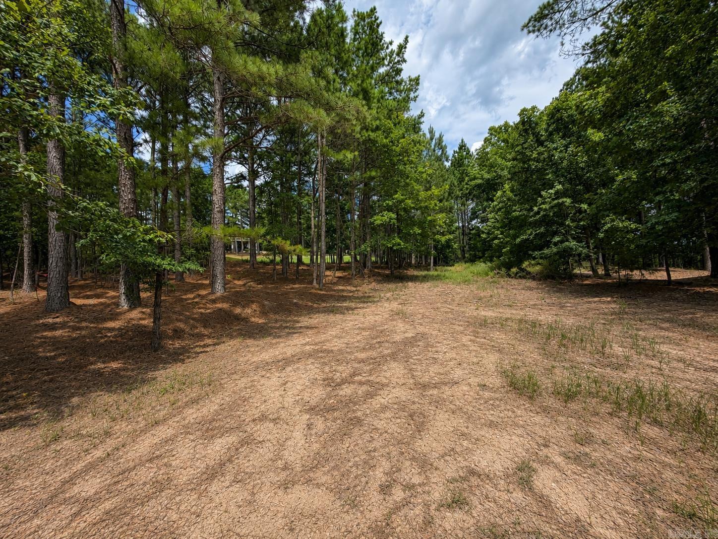 55 Alteza Drive Property Photo 4