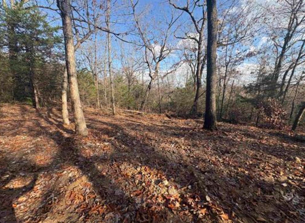 6615 Hwy 101 Property Photo 6