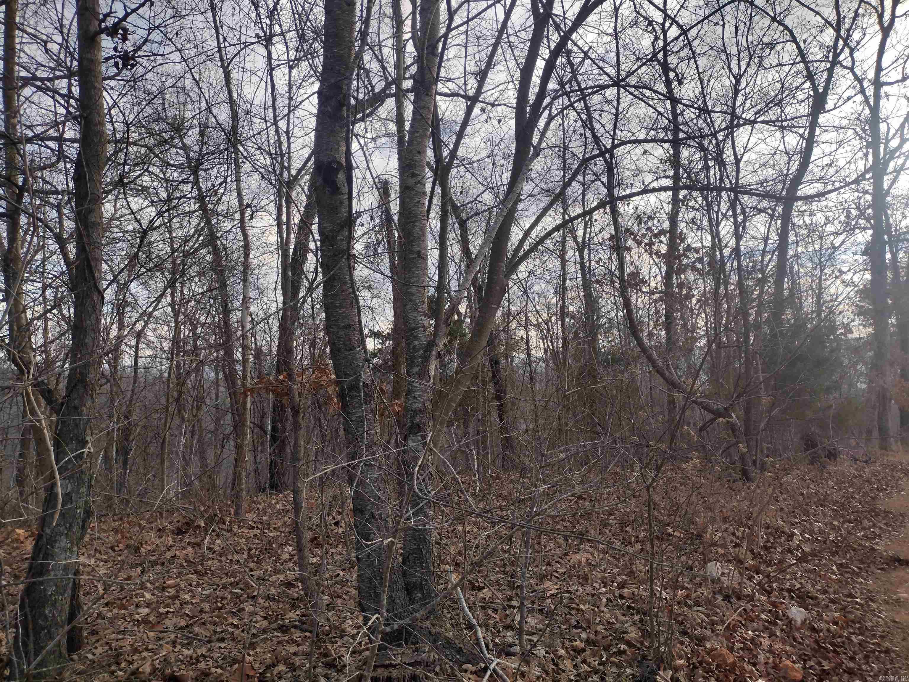 0 Geier Rd Property Photo 1