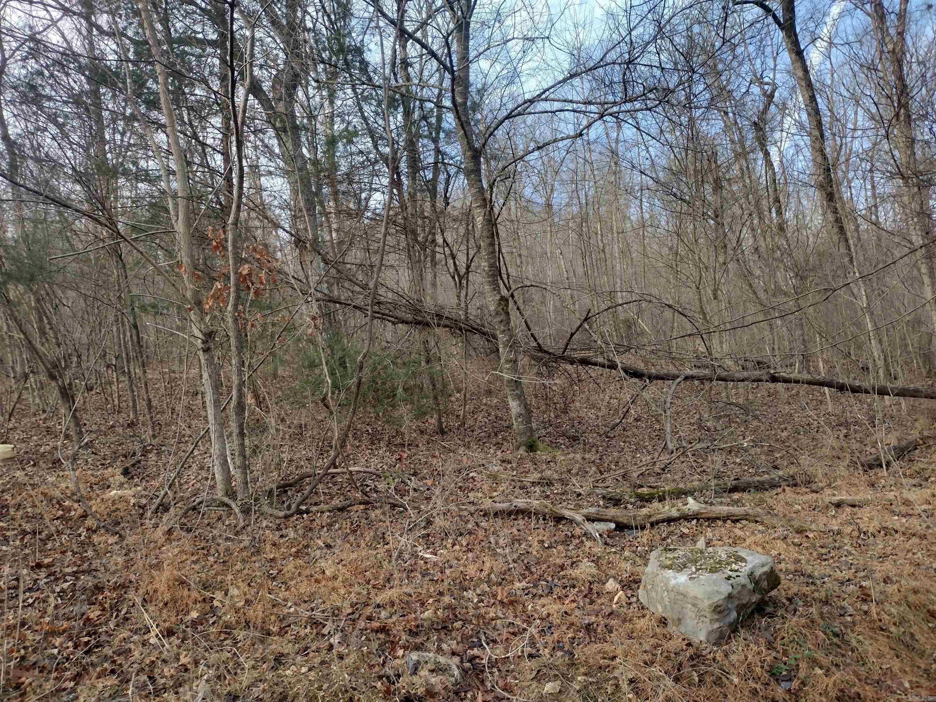 0 Geier Rd Property Photo 2