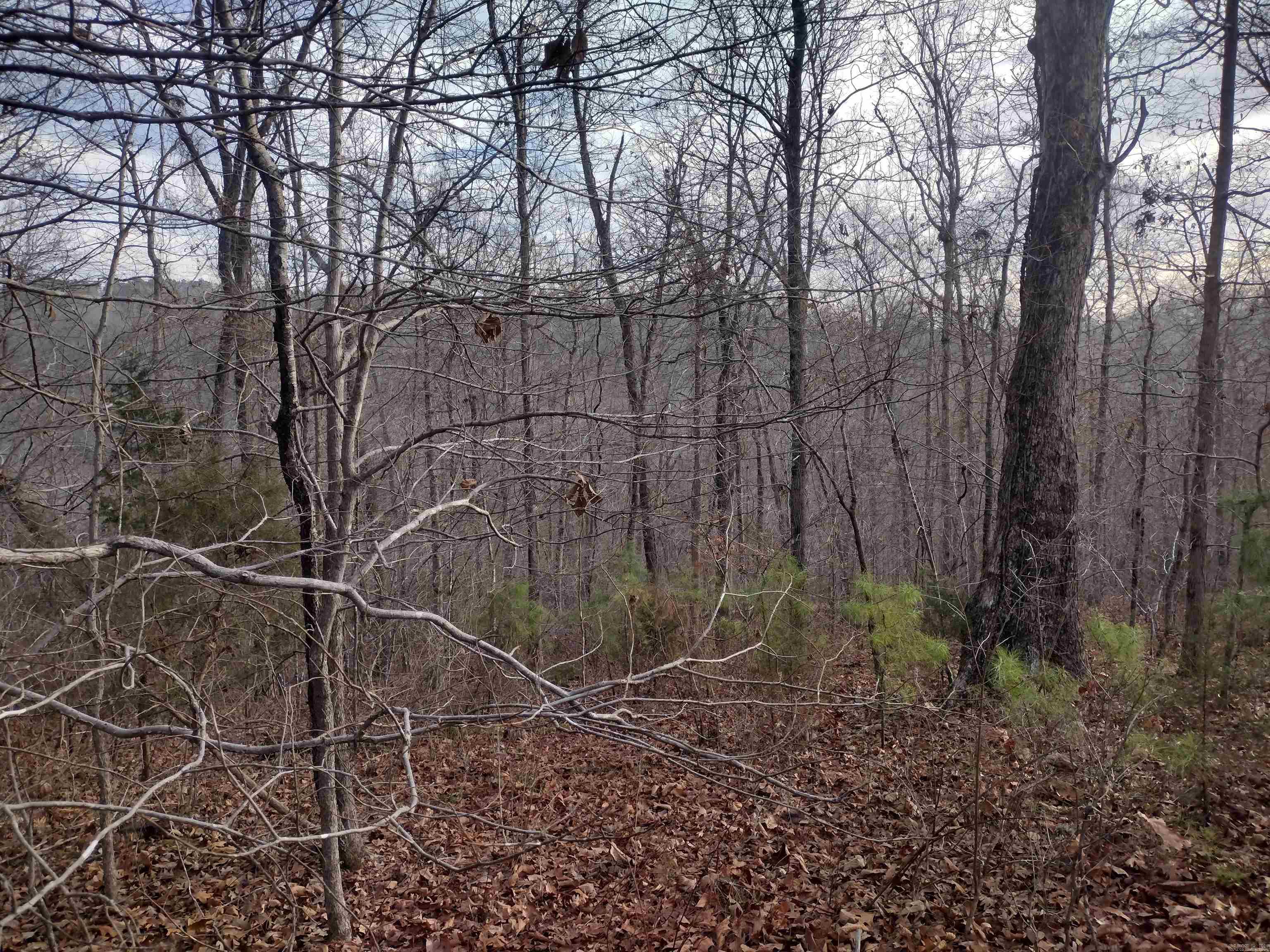 0 Geier Rd Property Photo 3