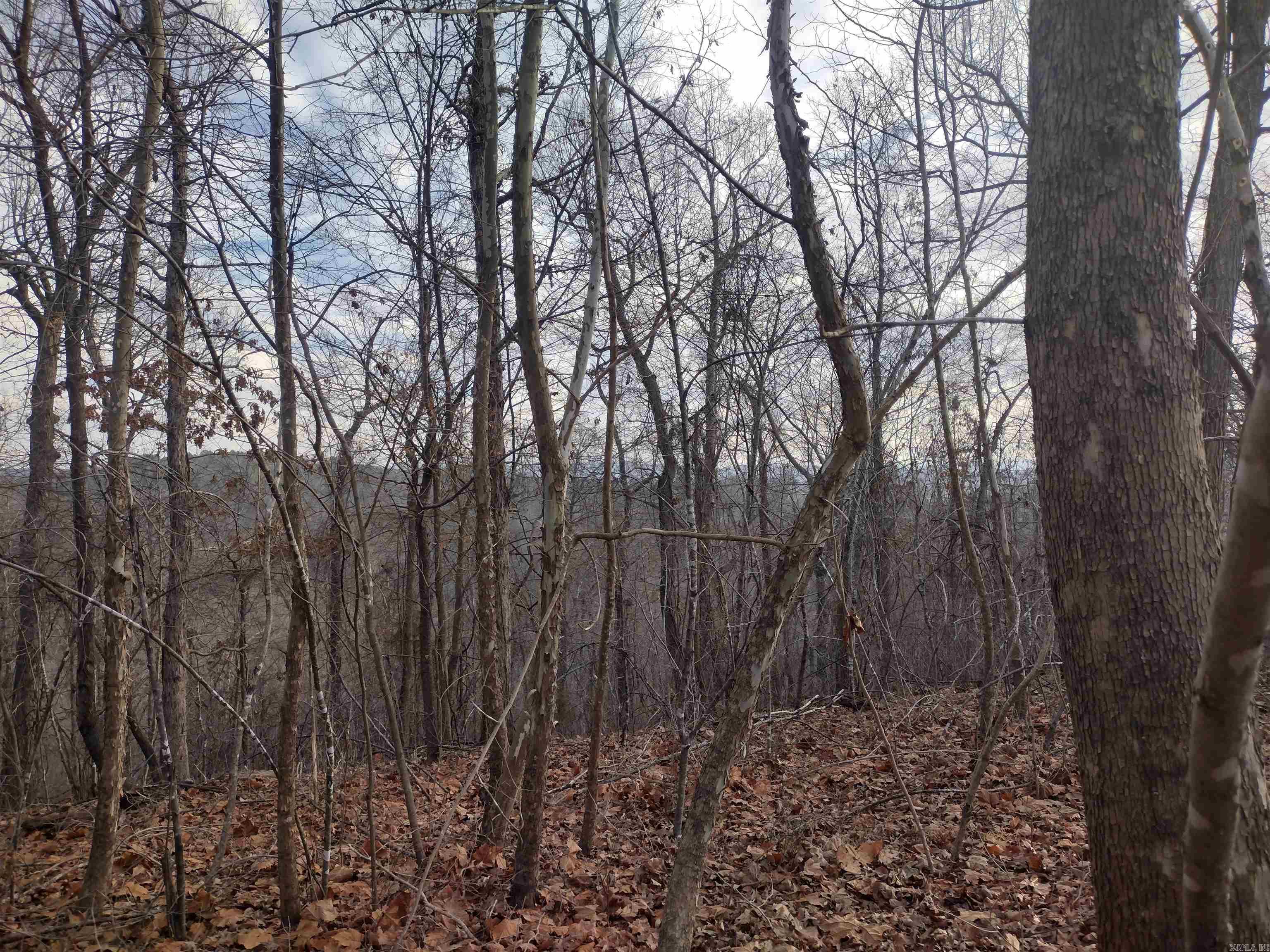 0 Geier Rd Property Photo 4
