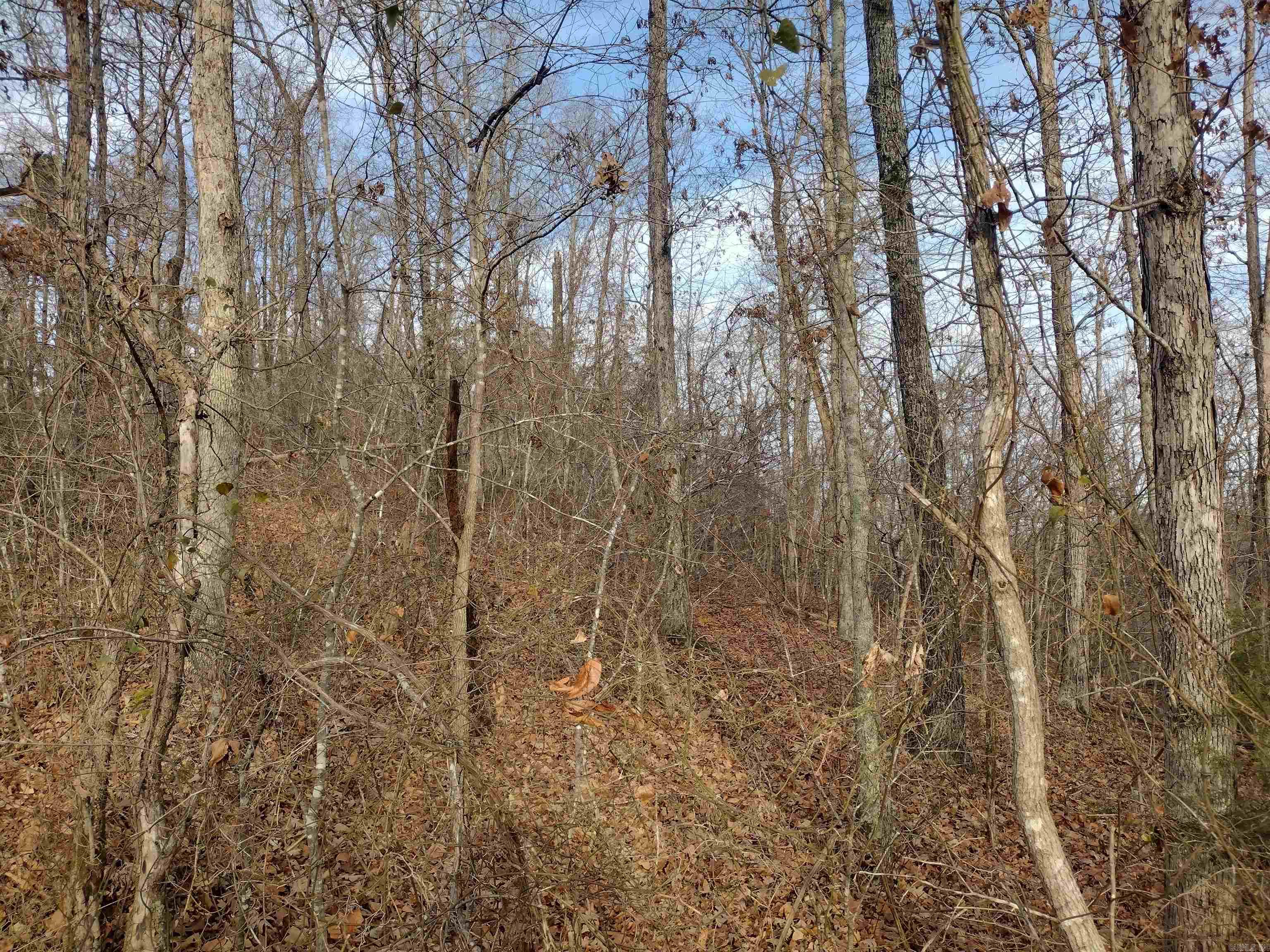0 Geier Rd Property Photo 6