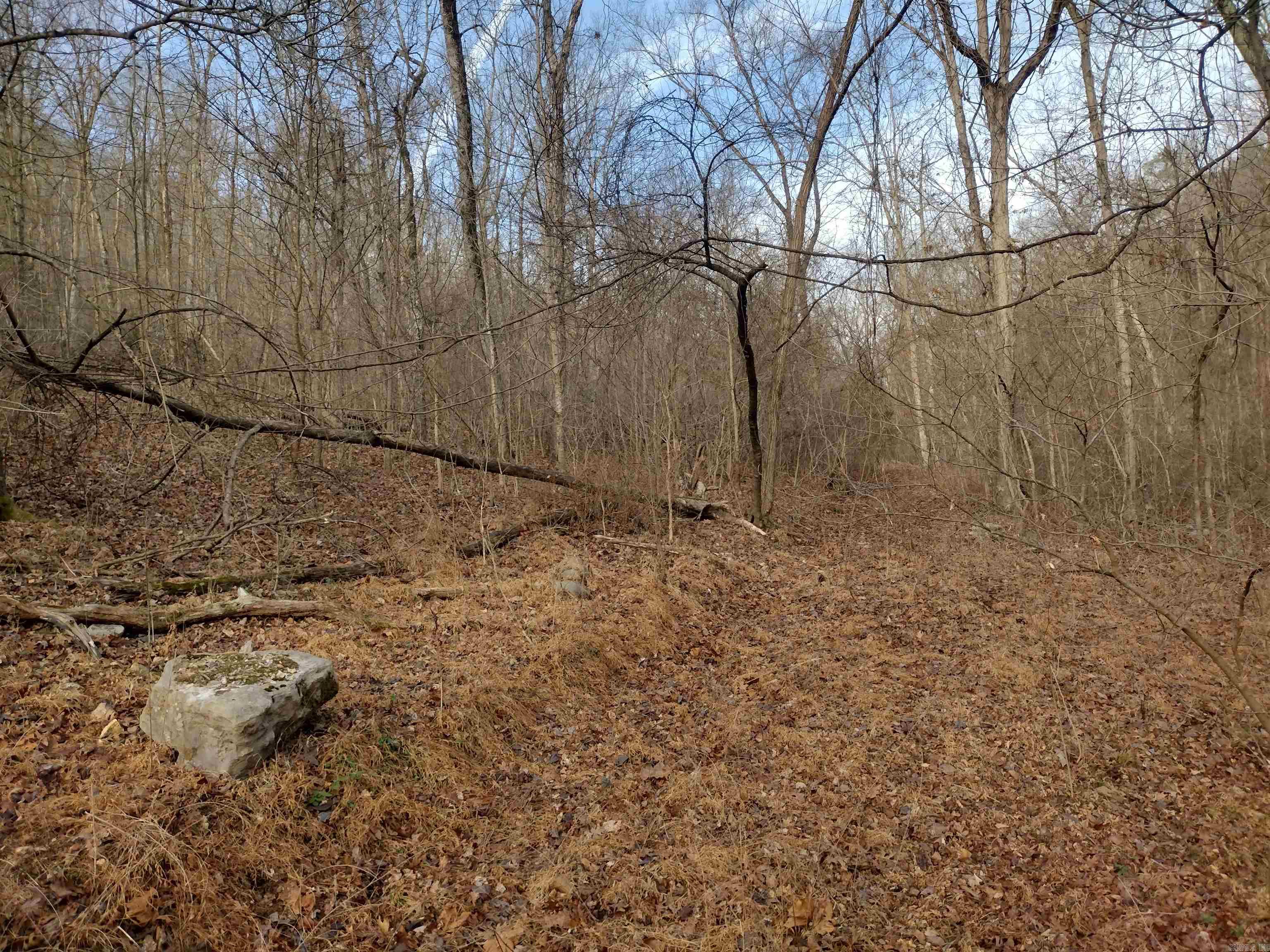 0 Geier Rd Property Photo 7