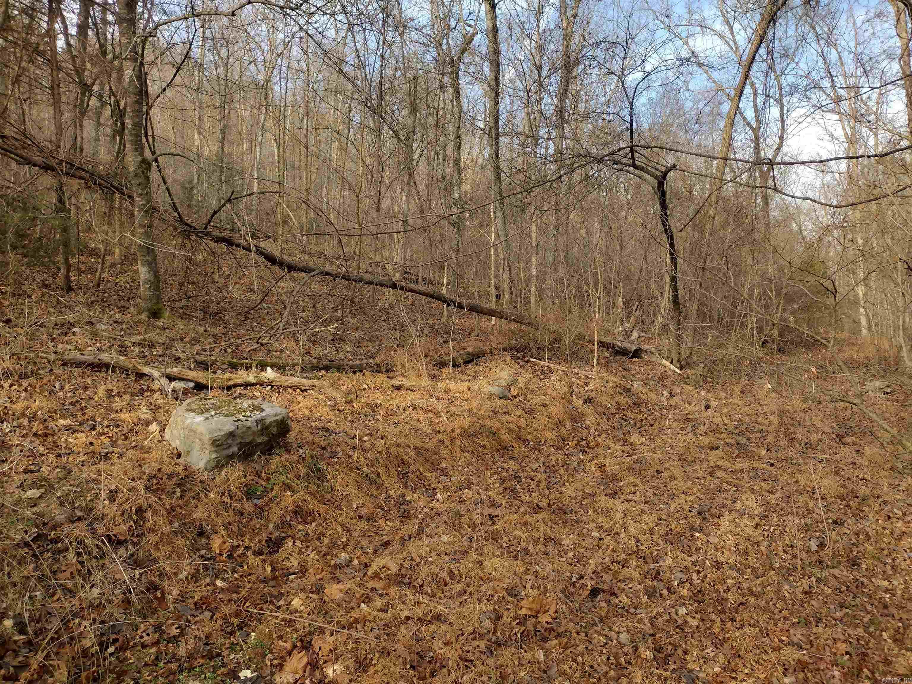 0 Geier Rd Property Photo 8