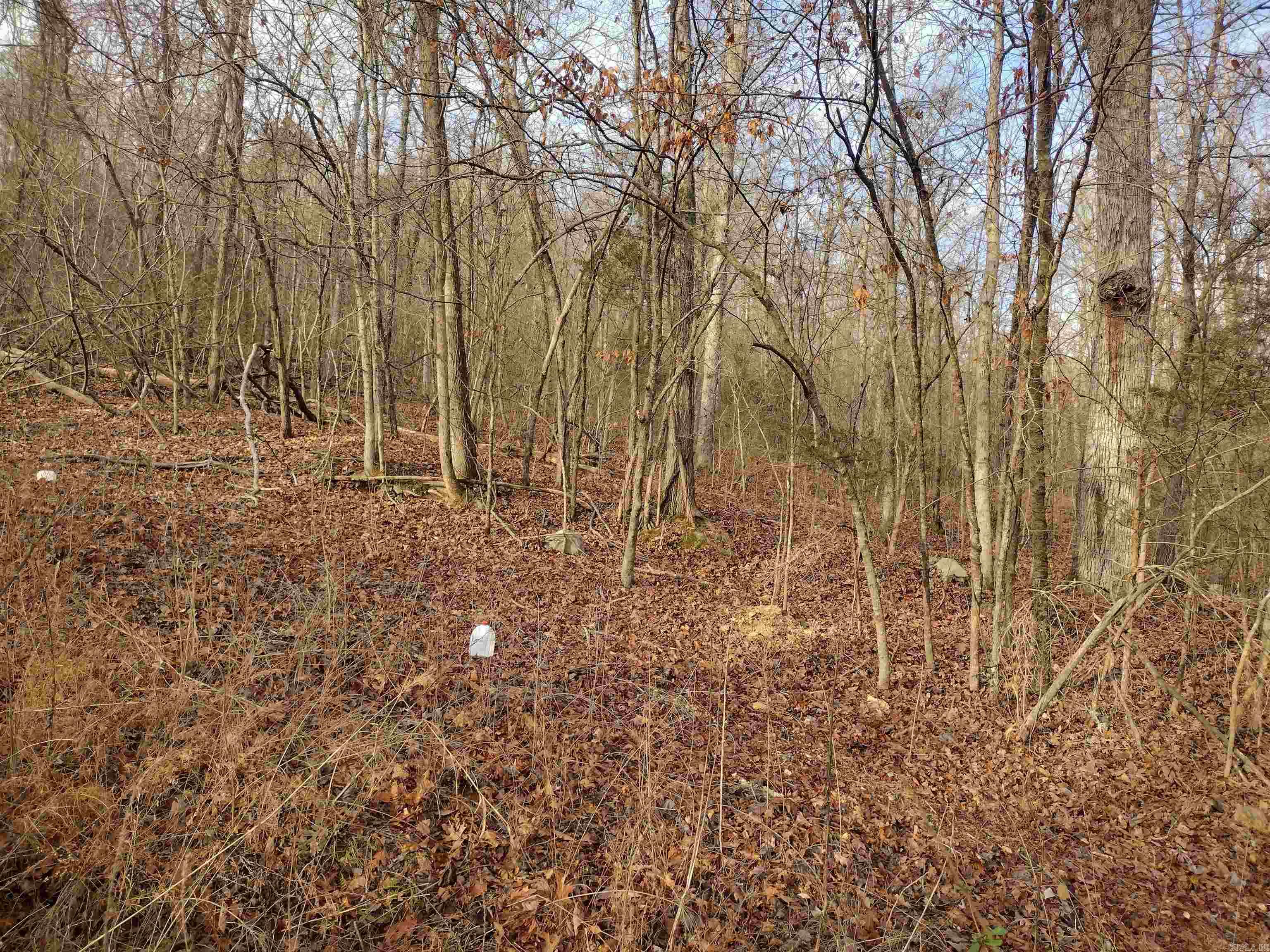 0 Geier Rd Property Photo 9