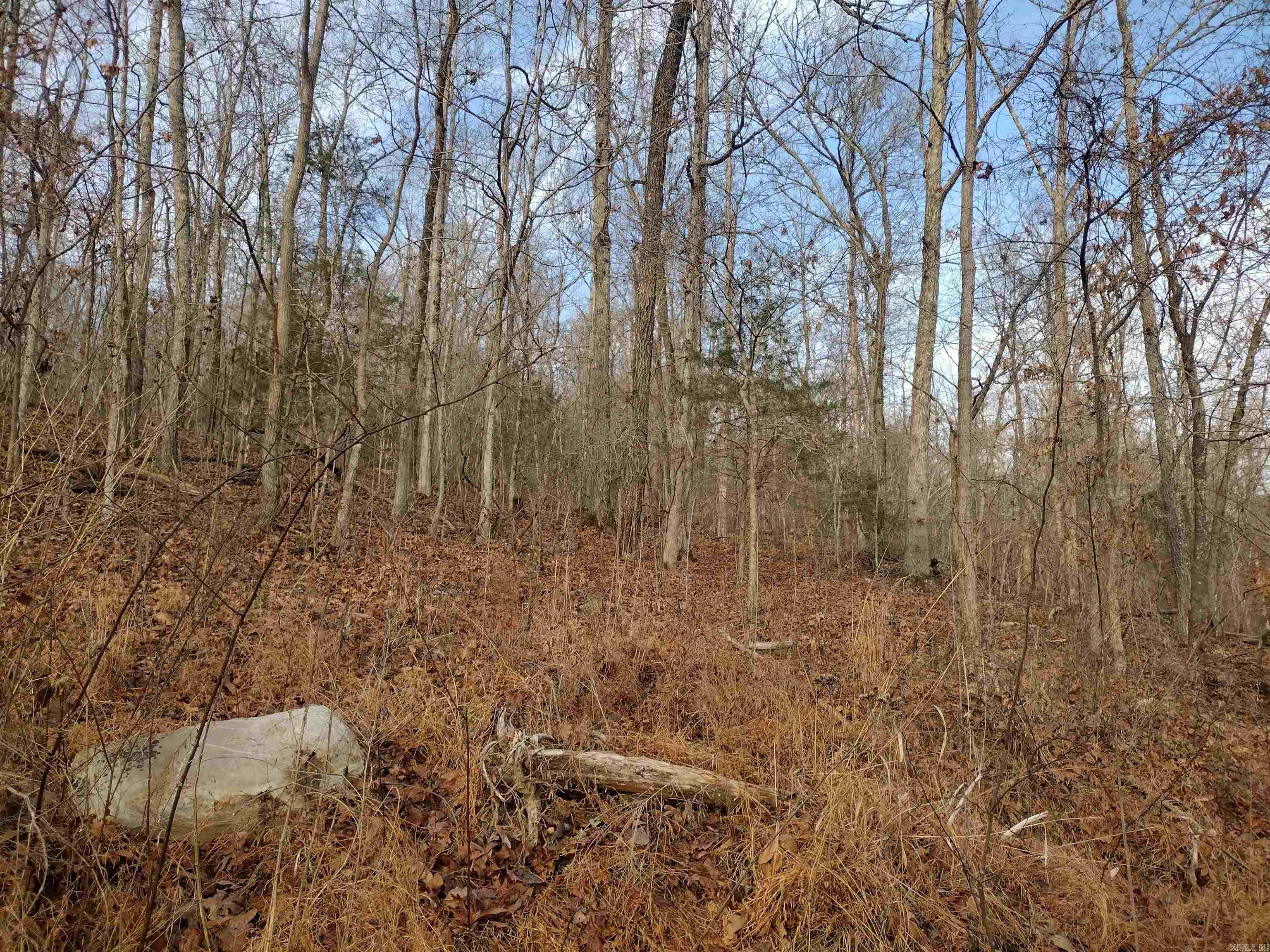 0 Geier Rd Property Photo 10