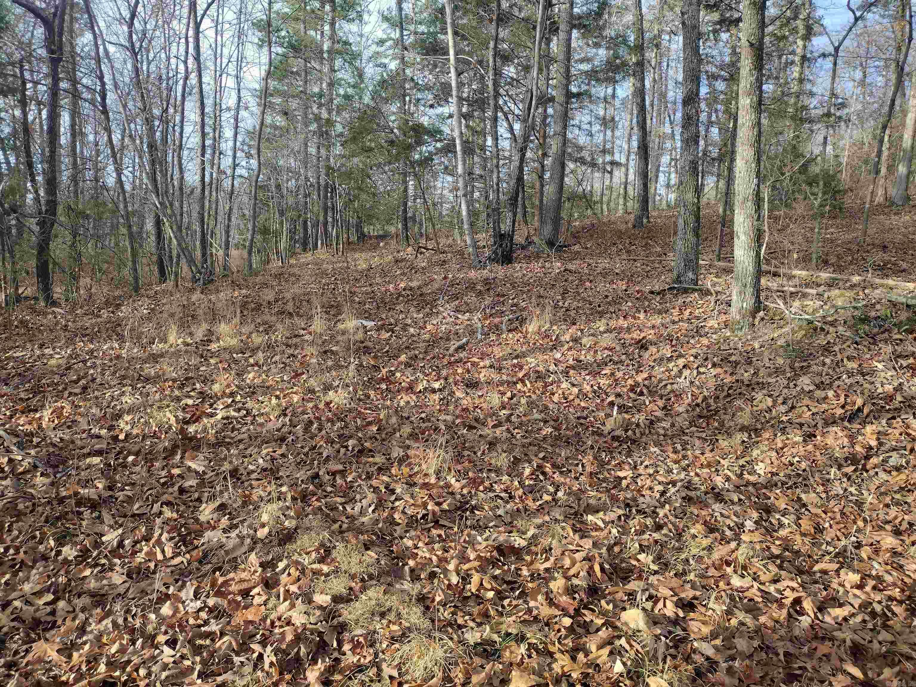 0 Geier Rd Property Photo 11