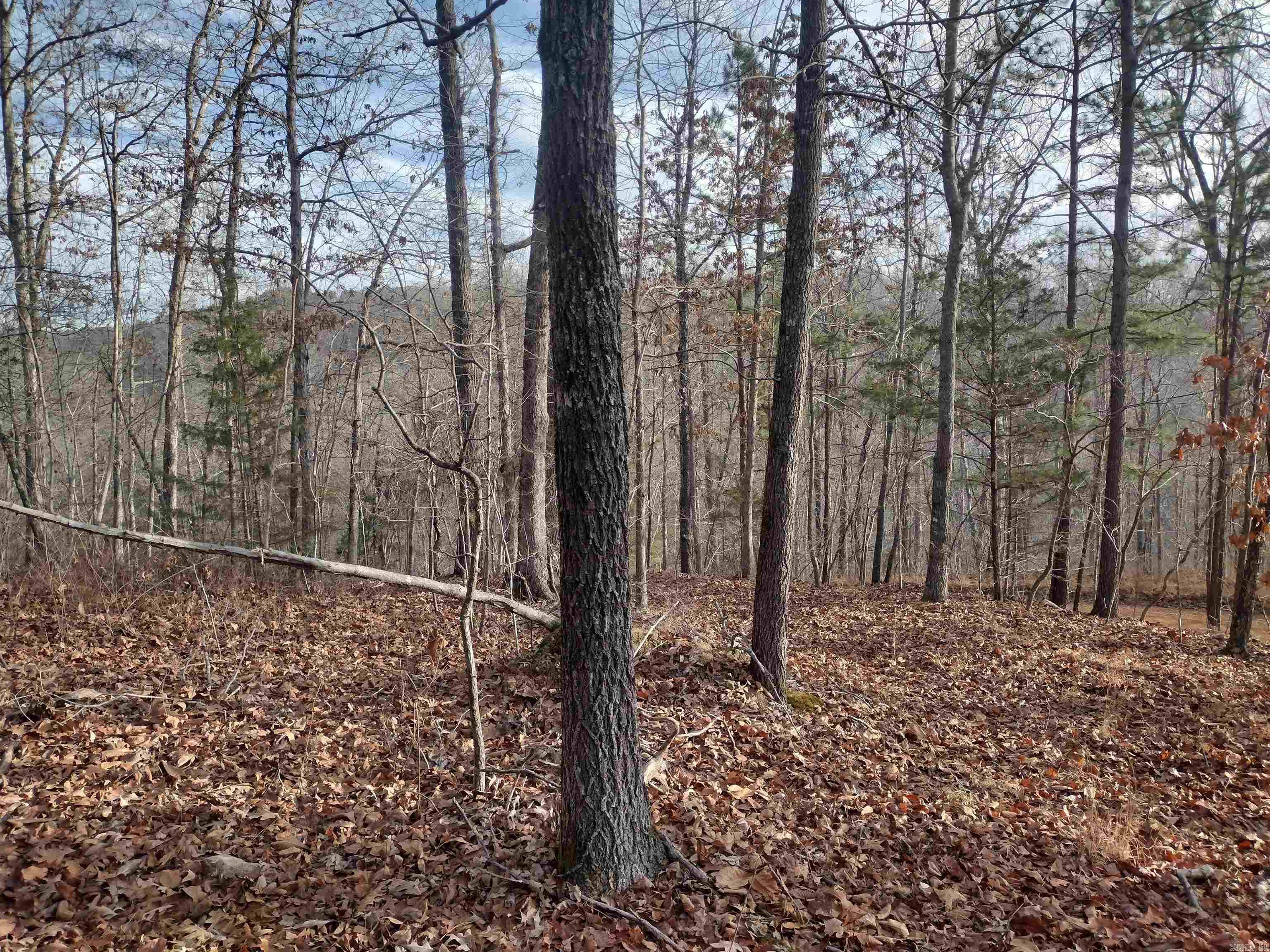 0 Geier Rd Property Photo 13
