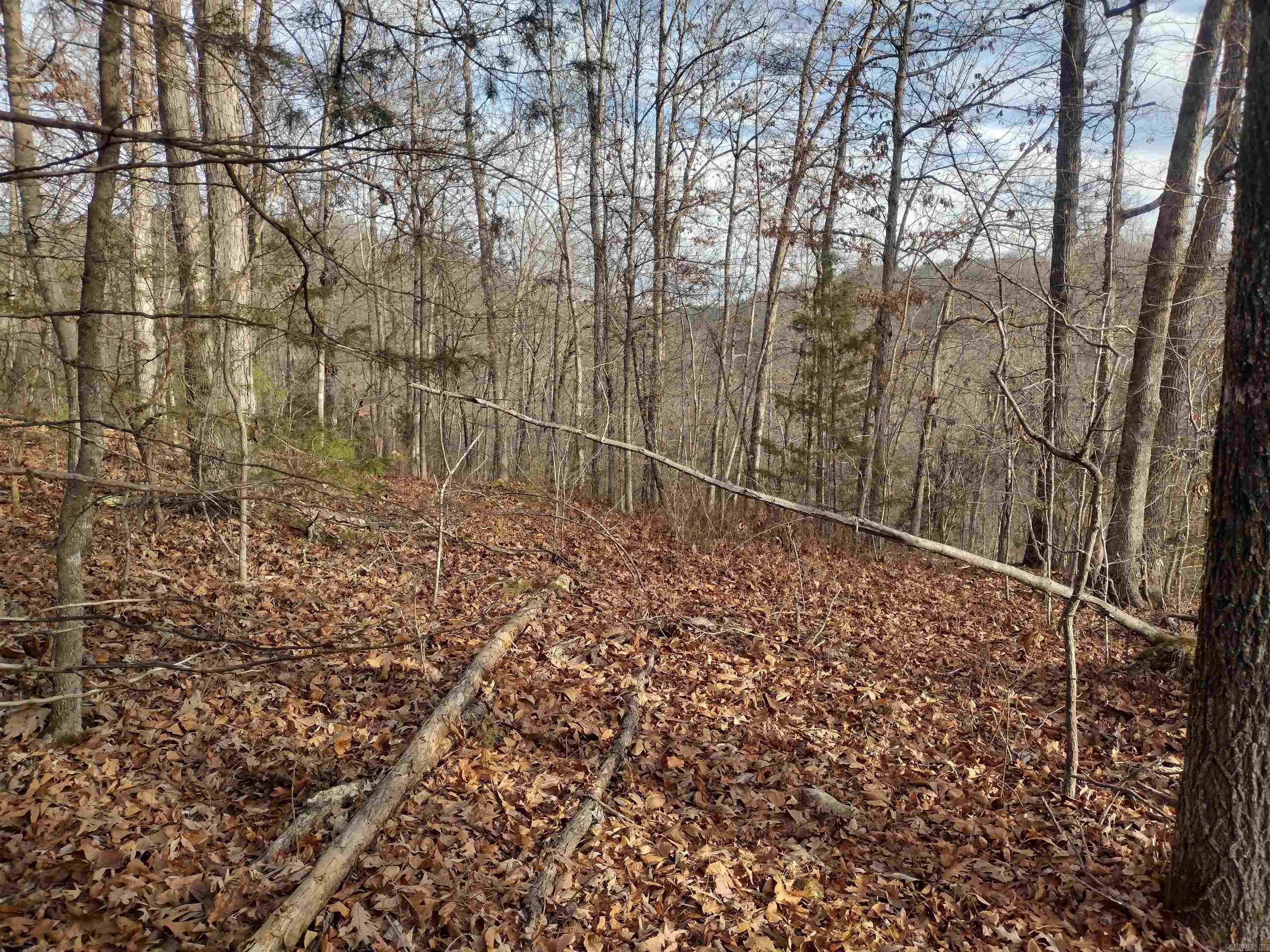 0 Geier Rd Property Photo 14